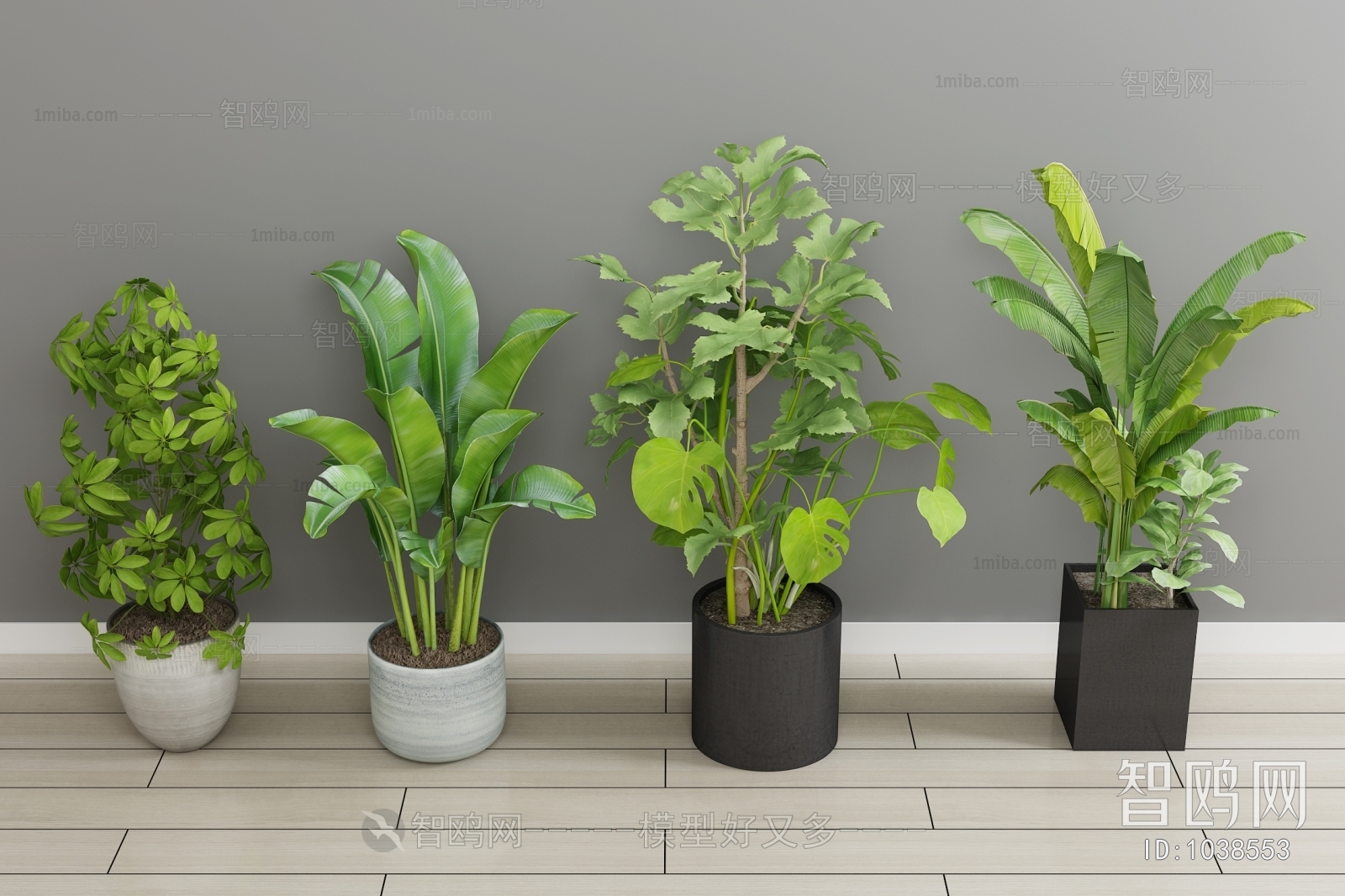 Modern Potted Green Plant