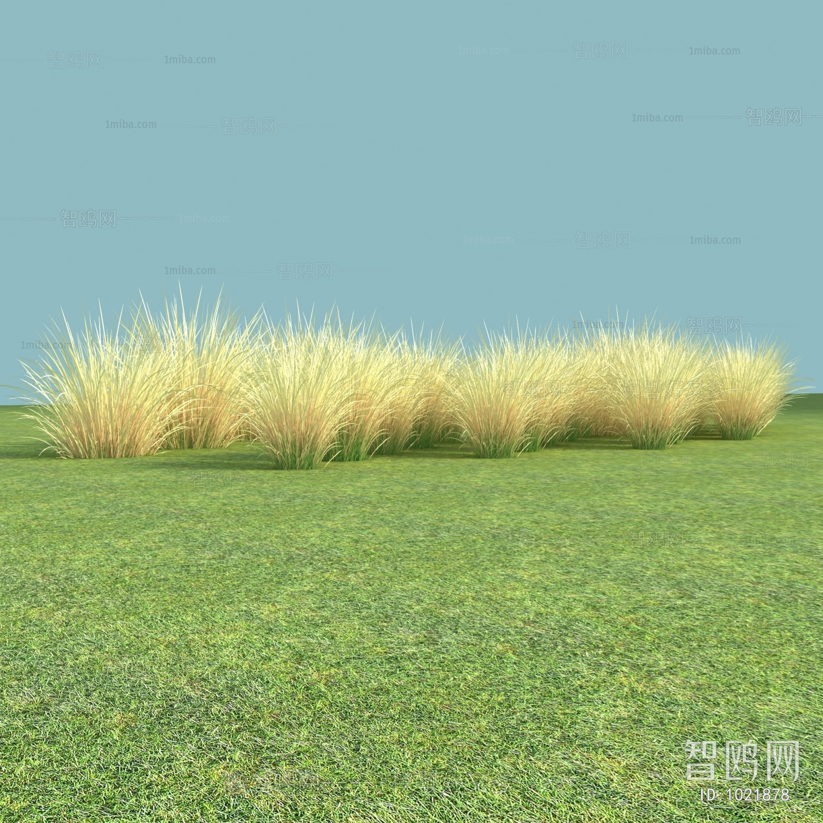 Modern The Grass