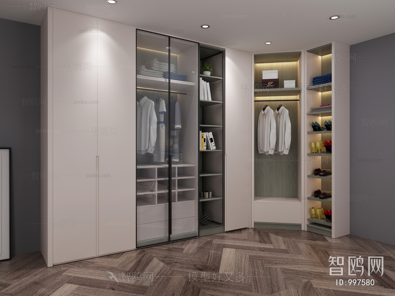 Modern Clothes Storage Area