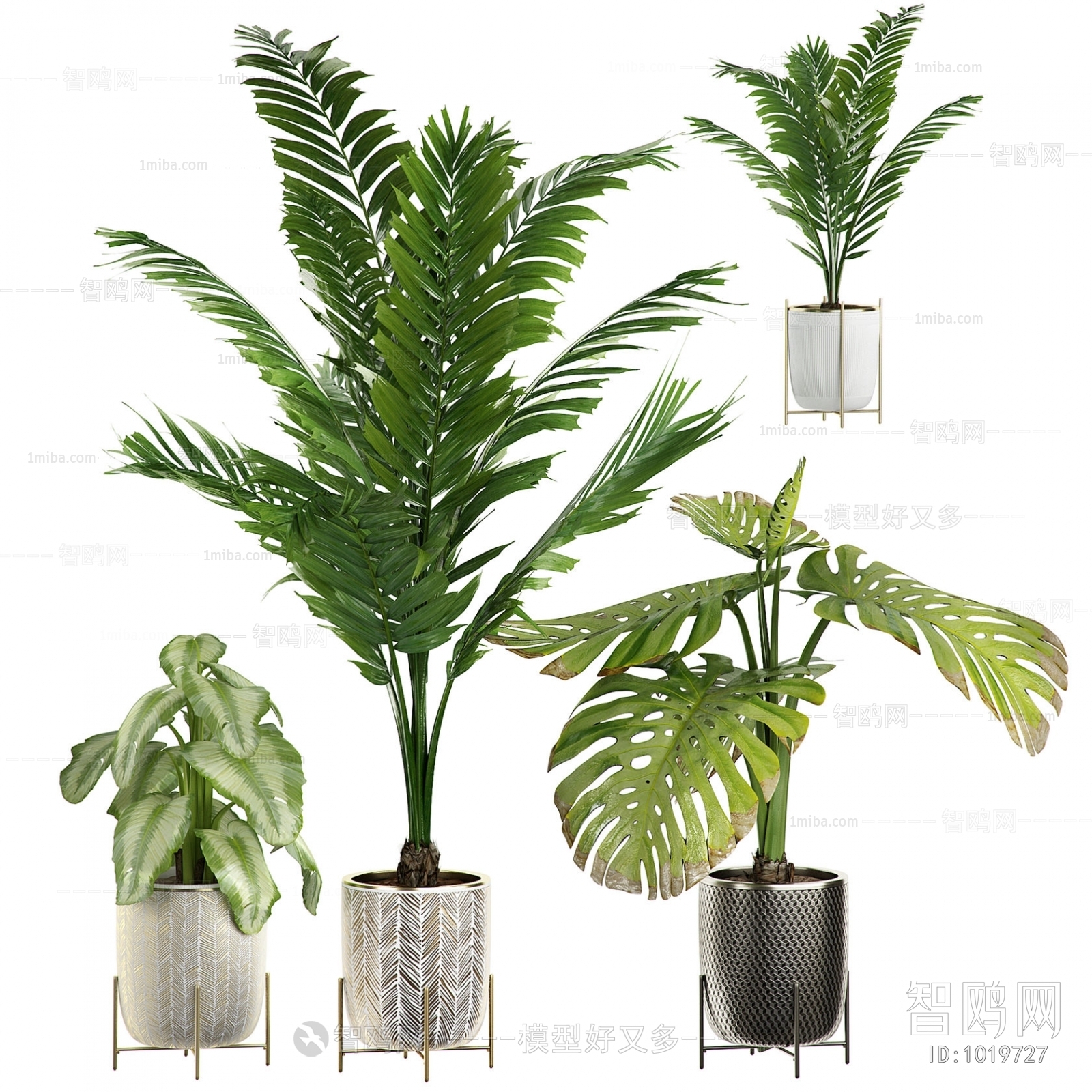 Modern Potted Green Plant