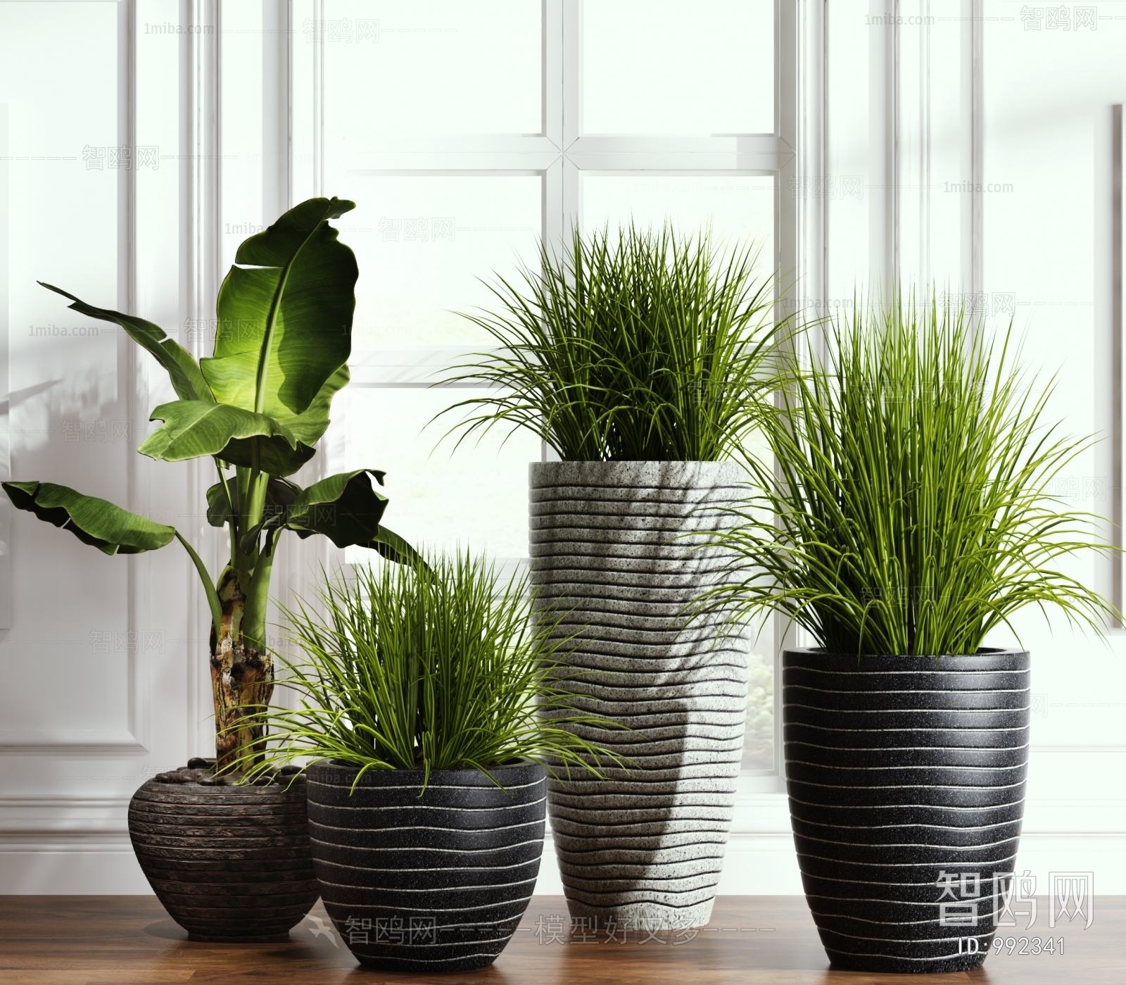 Modern Potted Green Plant