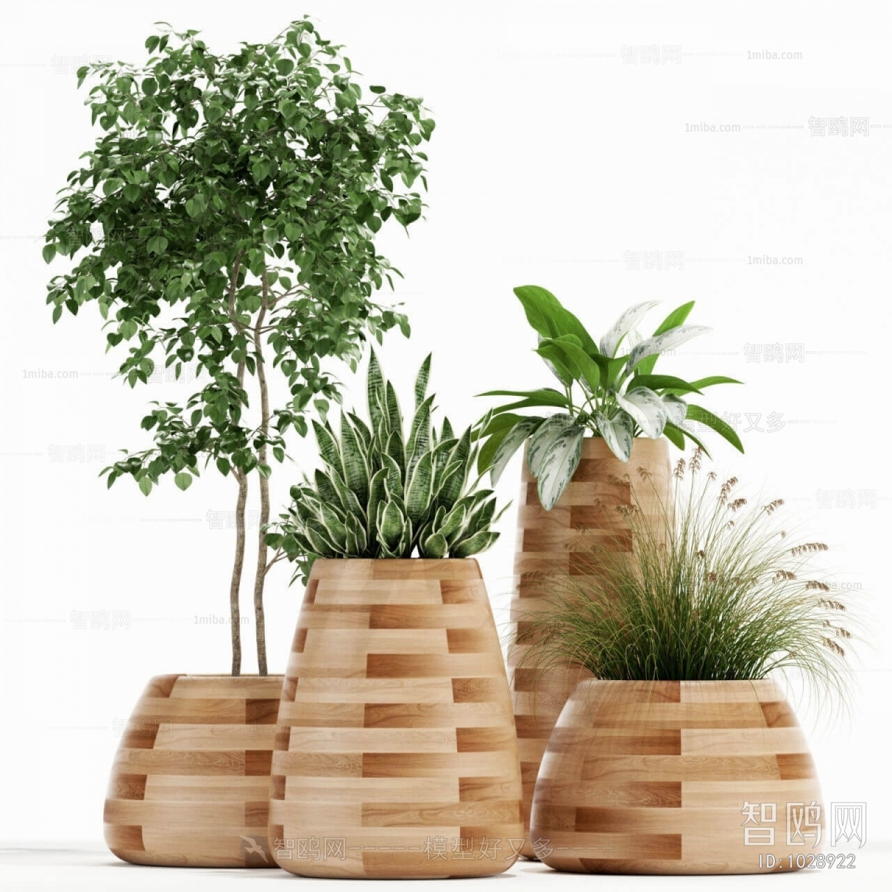 Modern Potted Green Plant