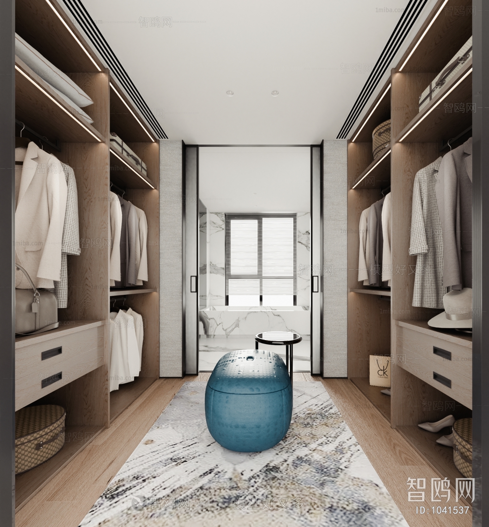 Modern Clothes Storage Area