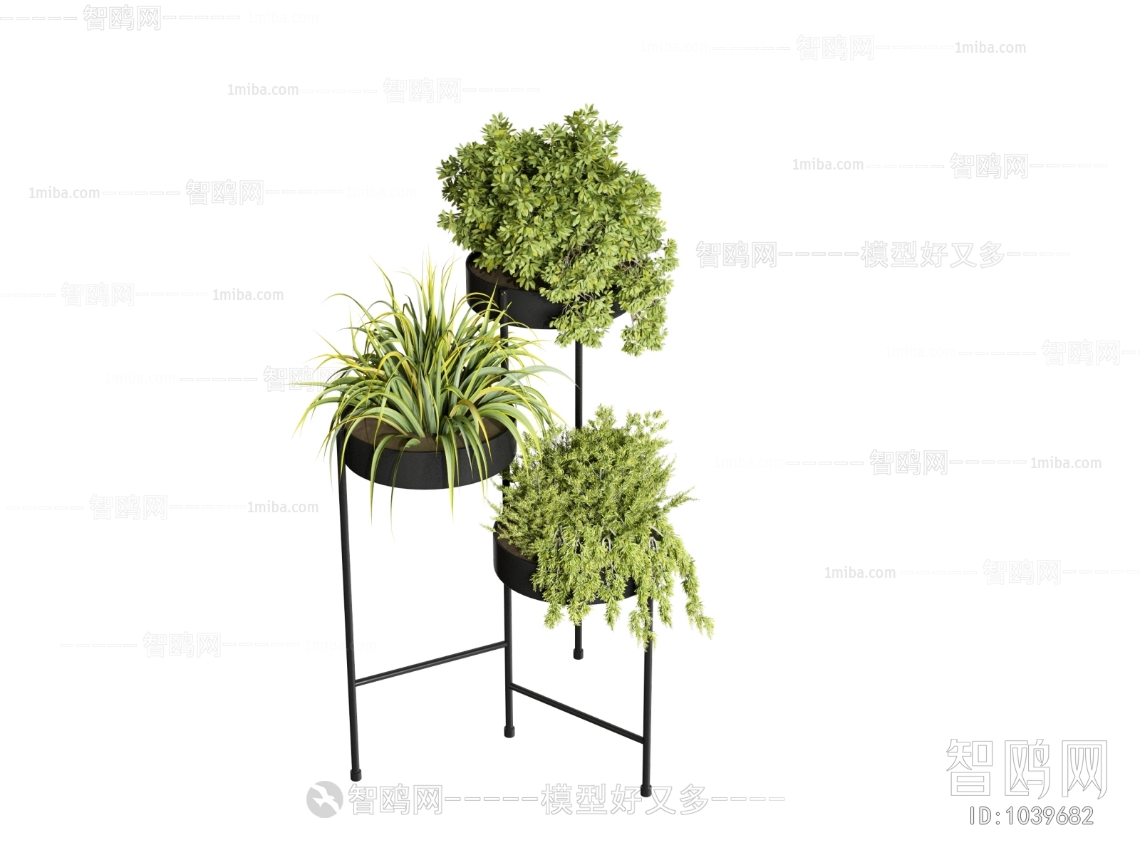 Modern Potted Green Plant