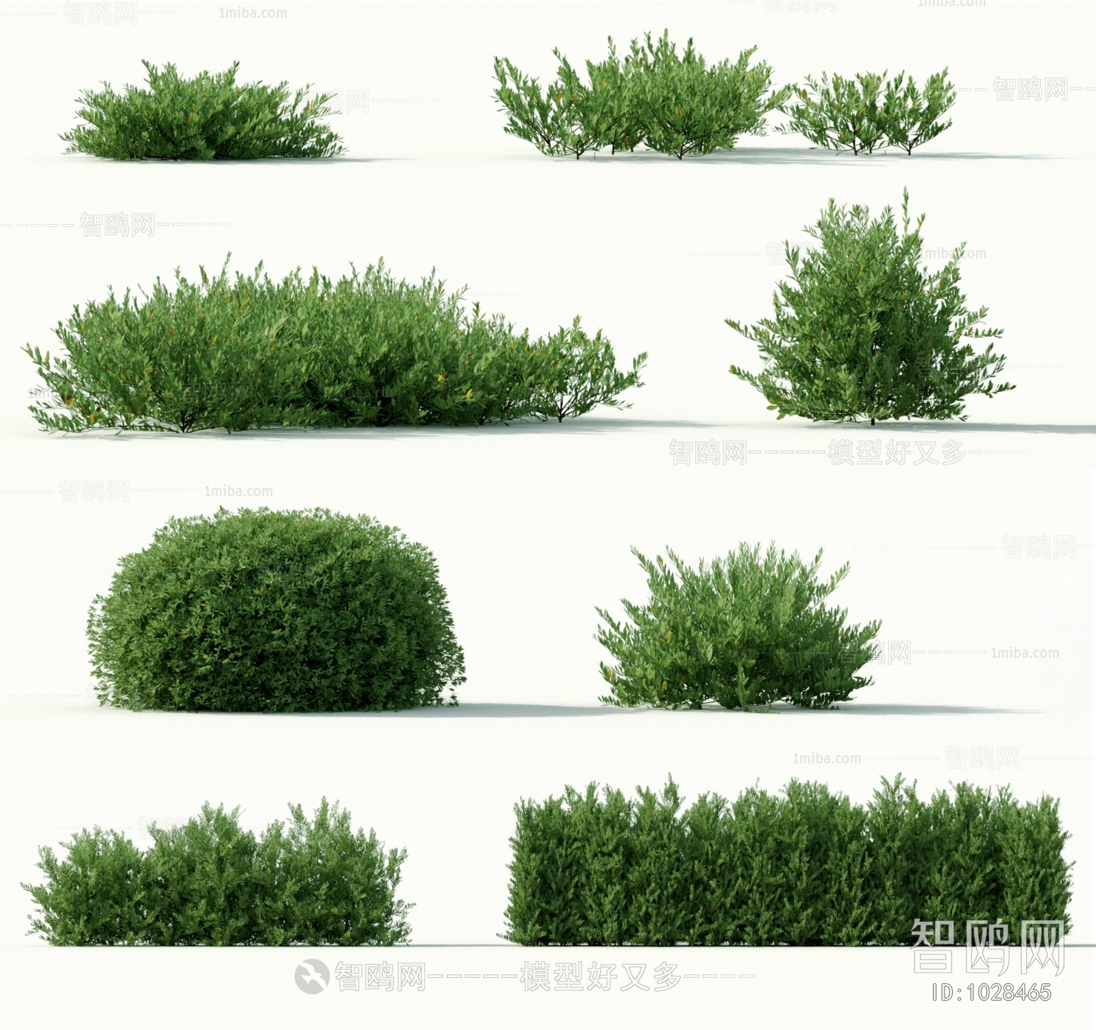 Modern Shrubbery