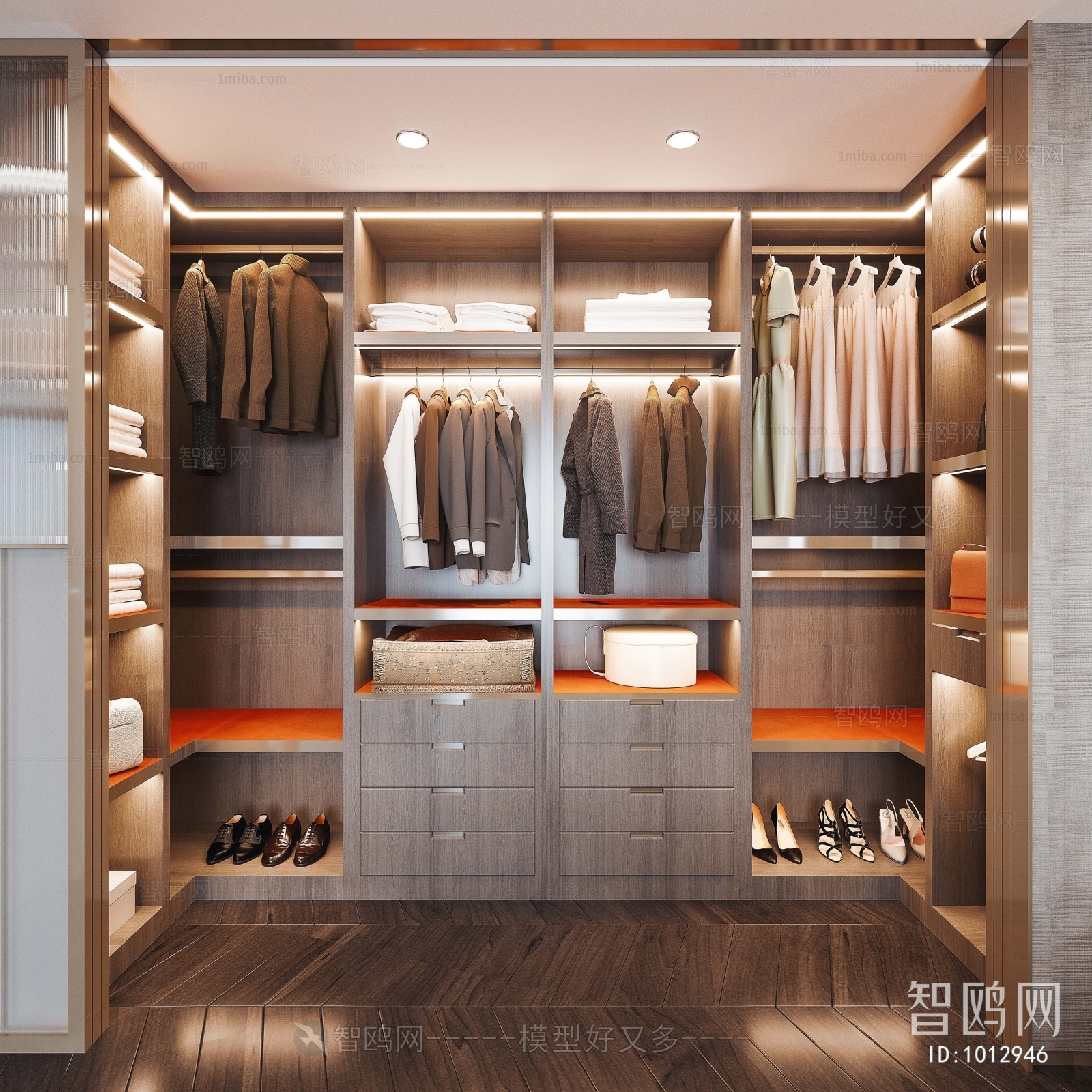 Modern Clothes Storage Area