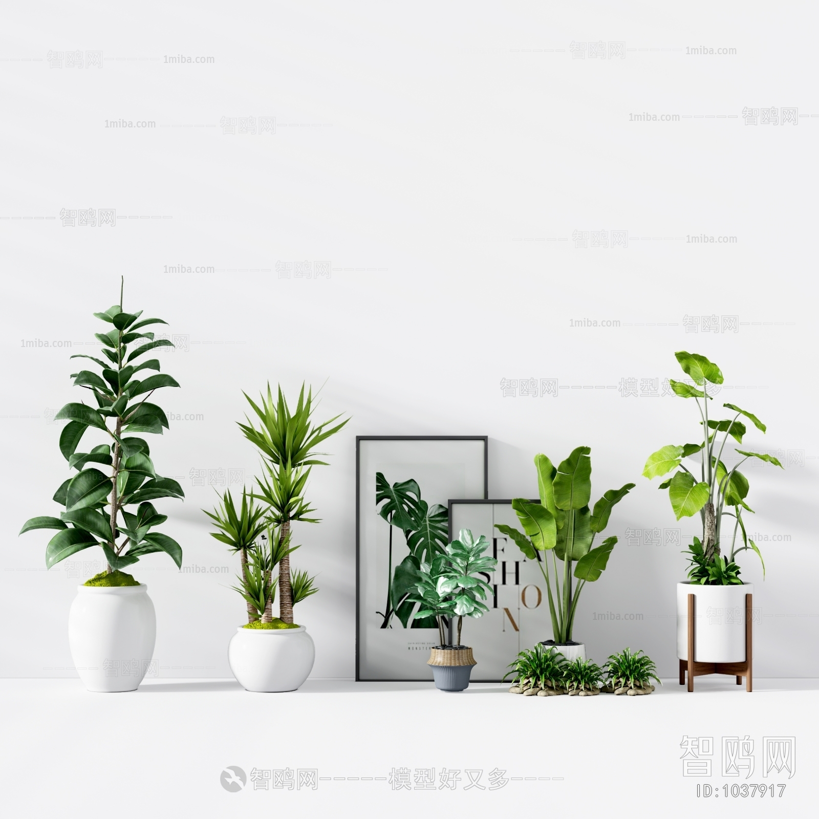 Modern Potted Green Plant