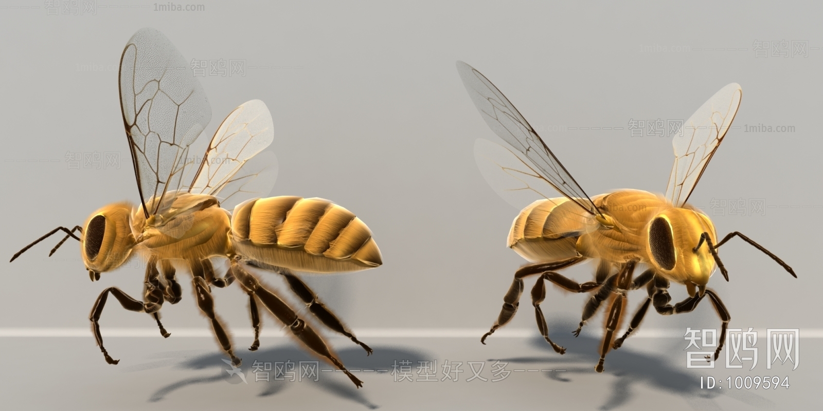 现代蜜蜂、飞行动物