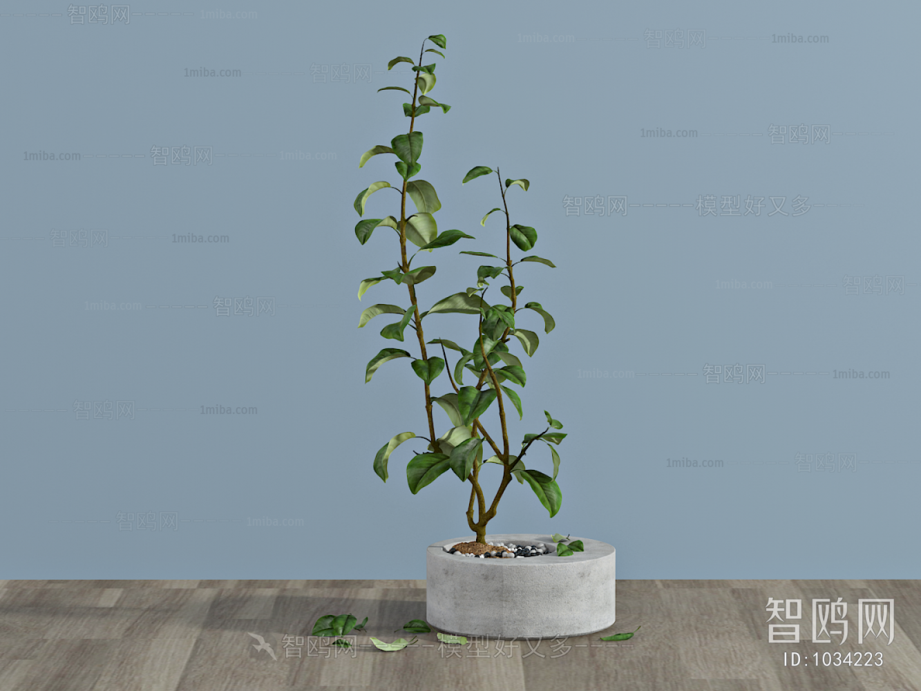 Modern Potted Green Plant