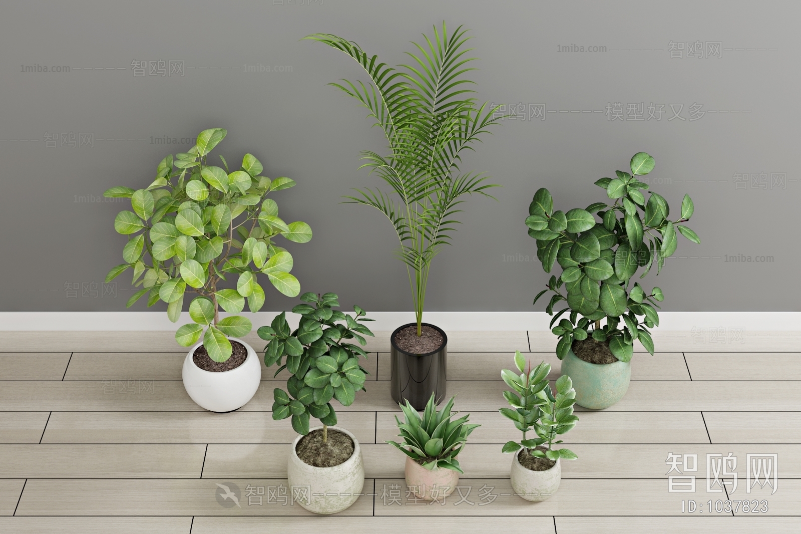 Modern Potted Green Plant