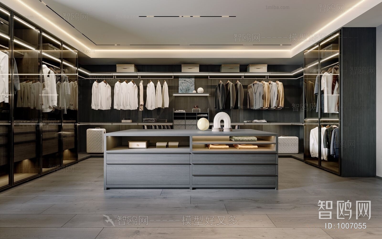 Modern Clothes Storage Area