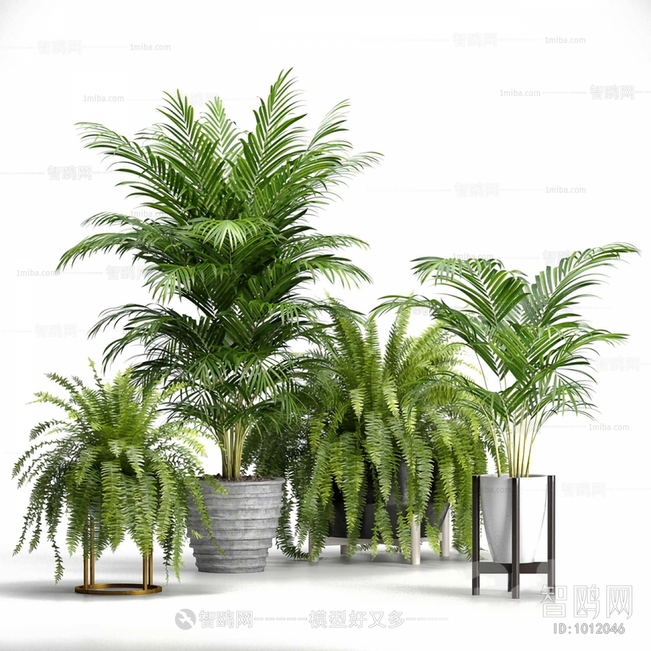 Modern Potted Green Plant