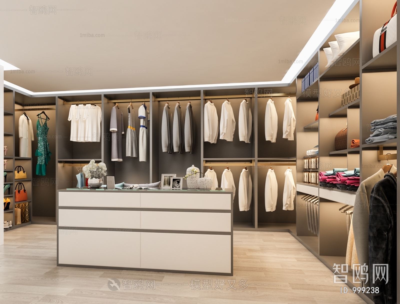 Modern Clothes Storage Area