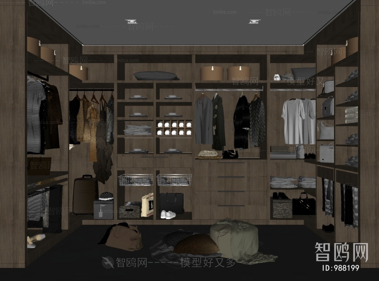 Modern Clothes Storage Area