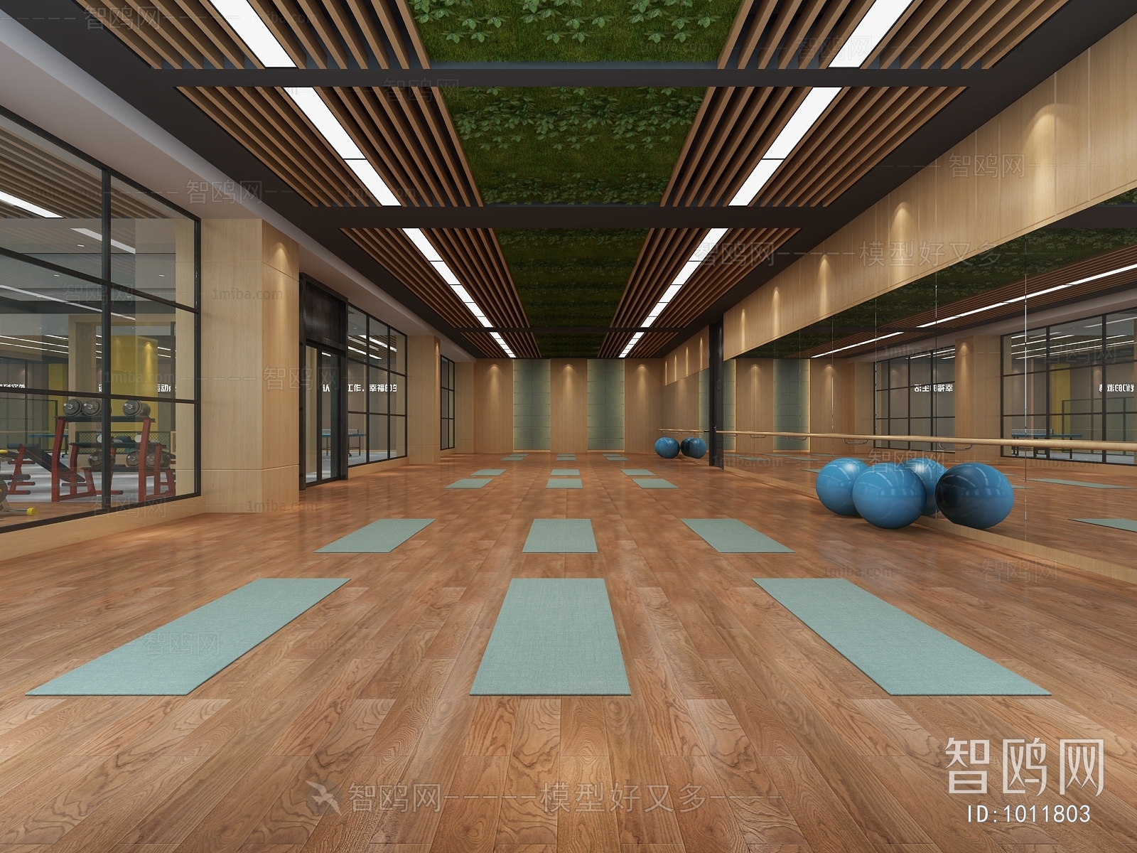 Modern Yoga Room