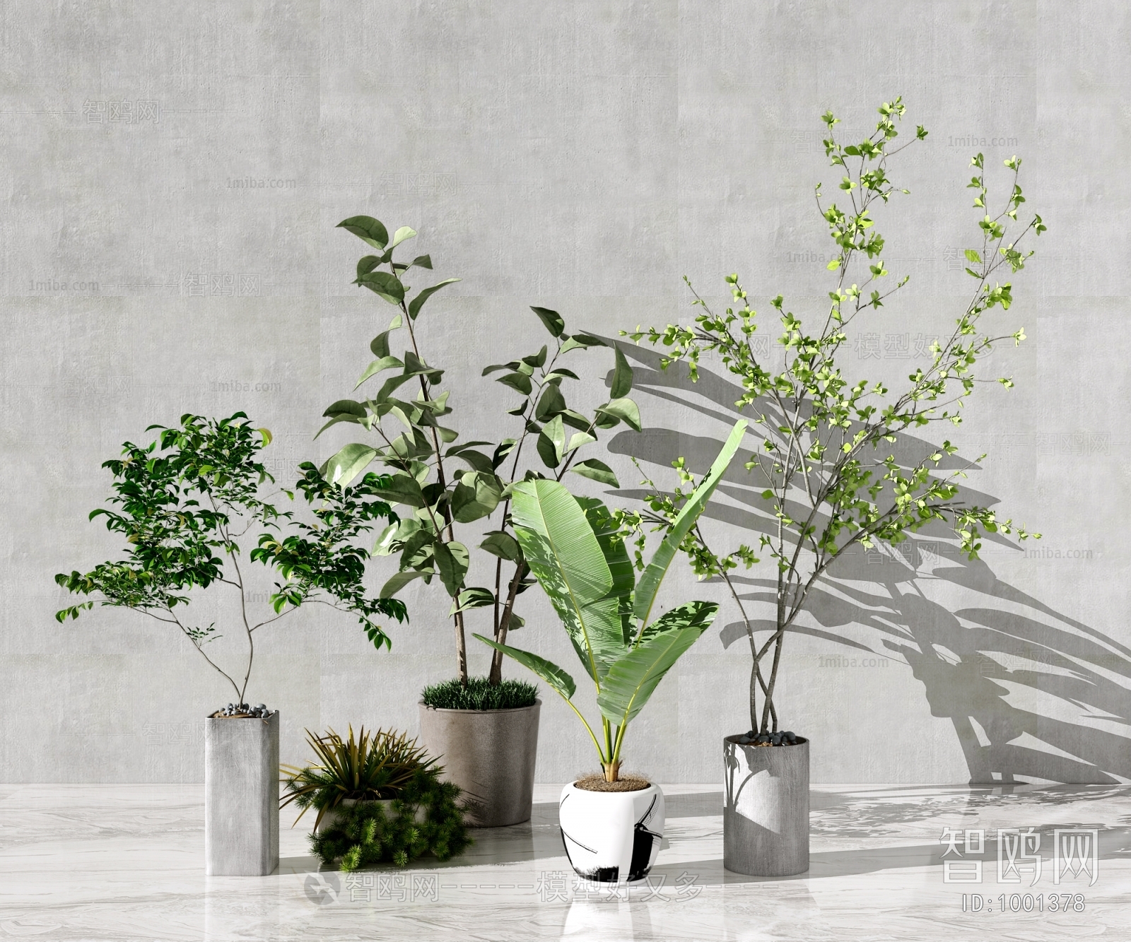 Modern Potted Green Plant