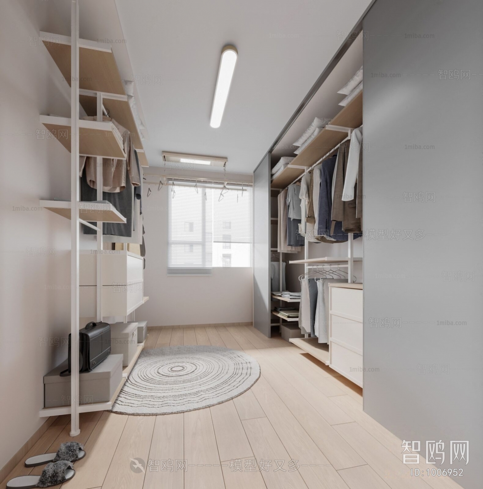 Modern Clothes Storage Area