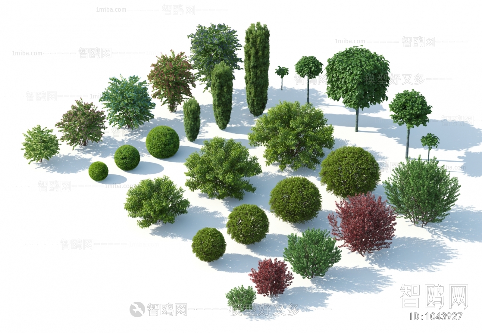 Modern Shrubbery