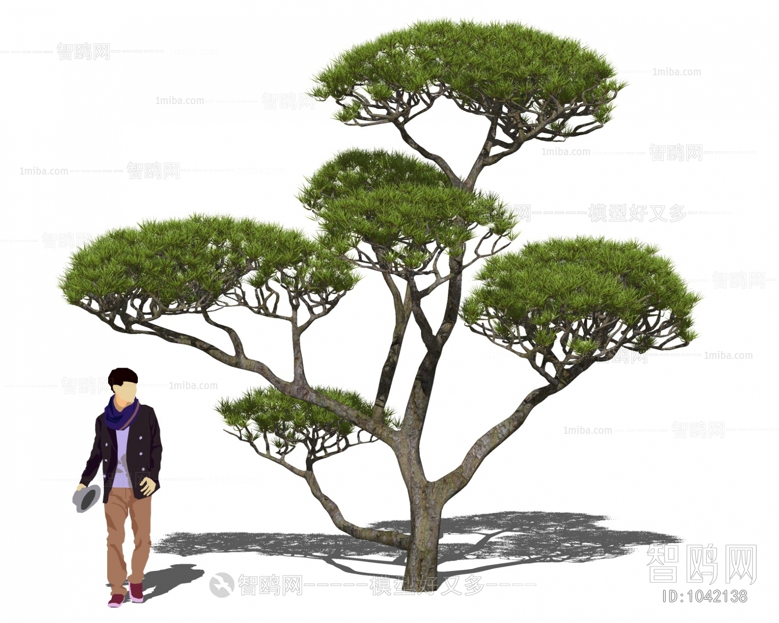 中式观松树