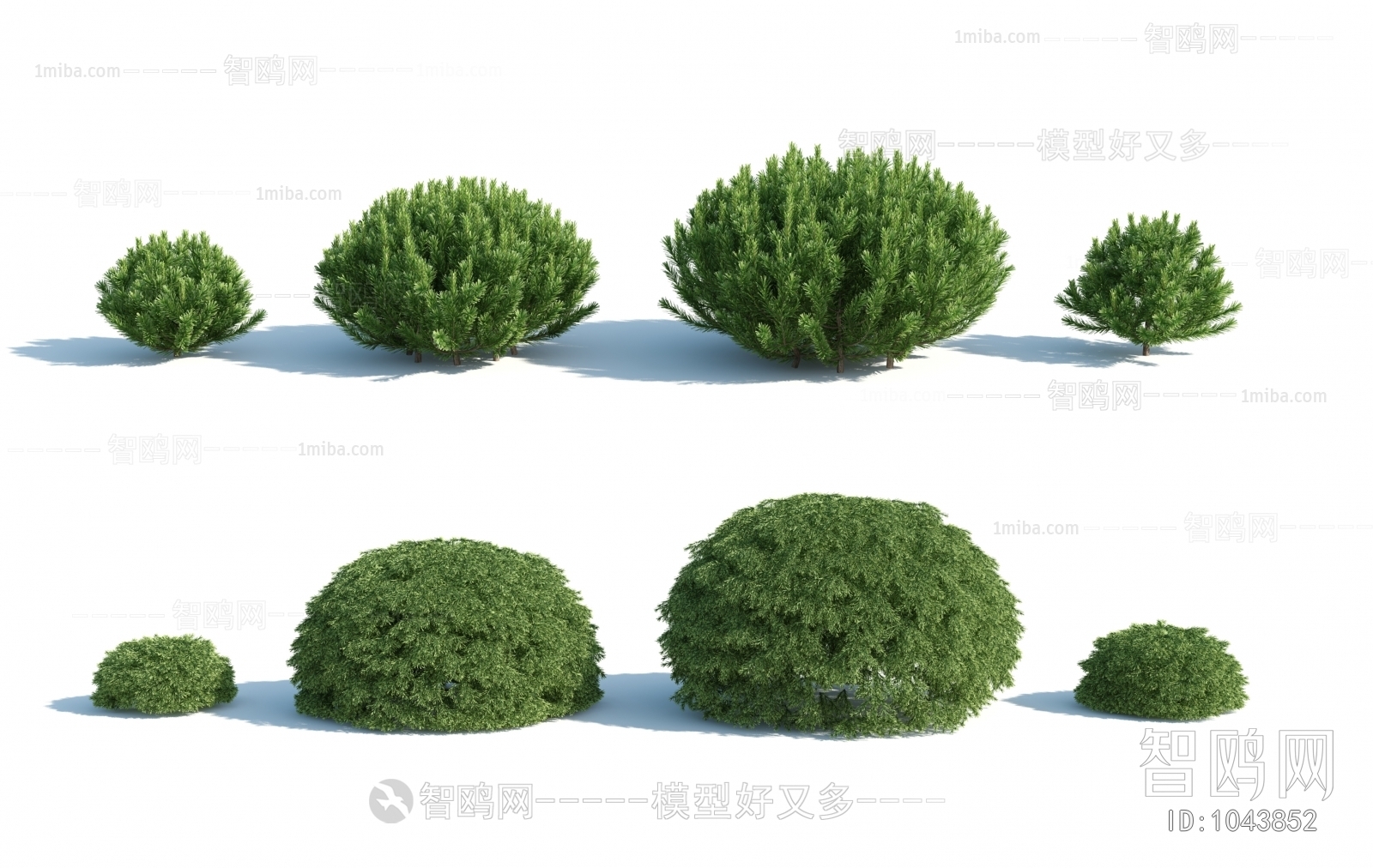 Modern Shrubbery