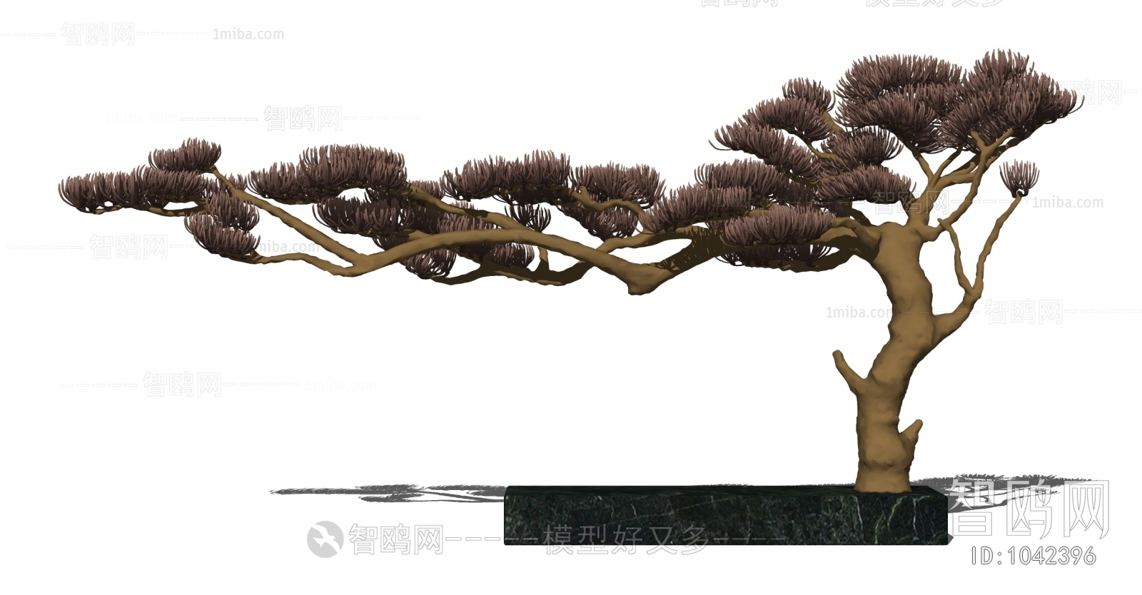 中式松树盆栽