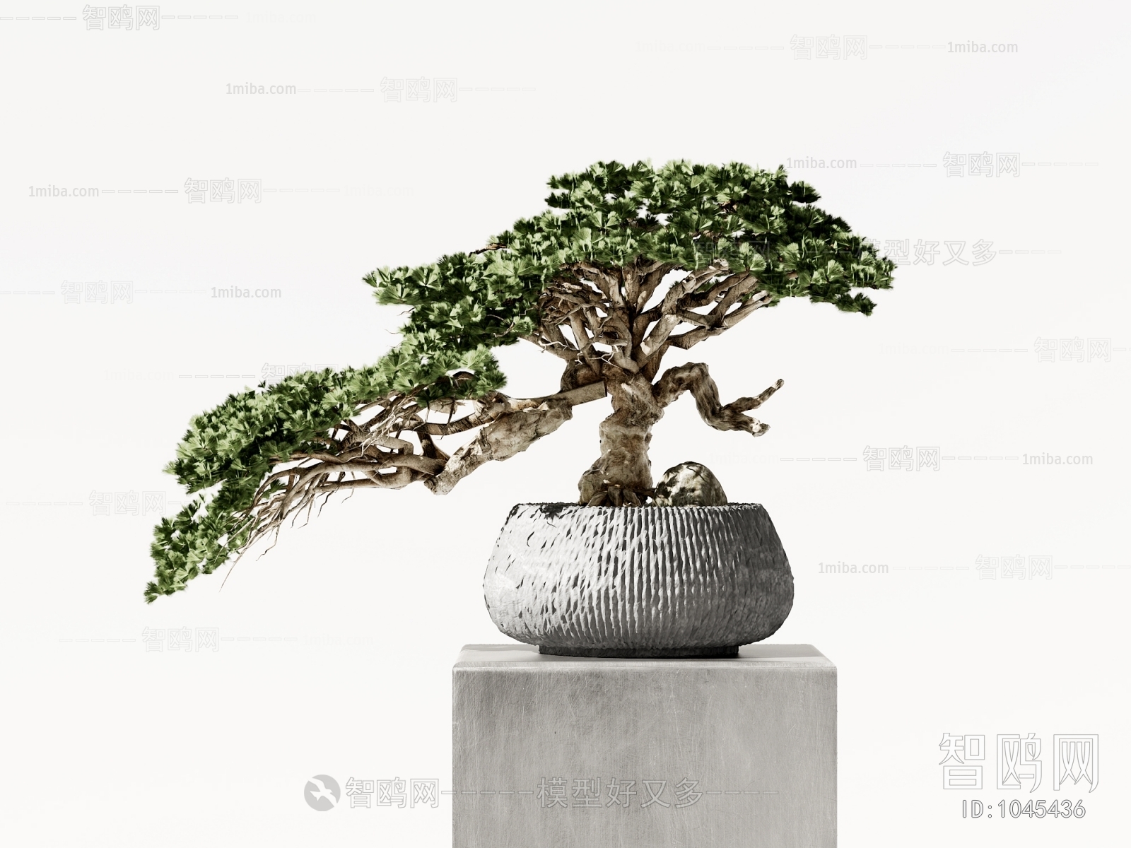 New Chinese Style Bonsai