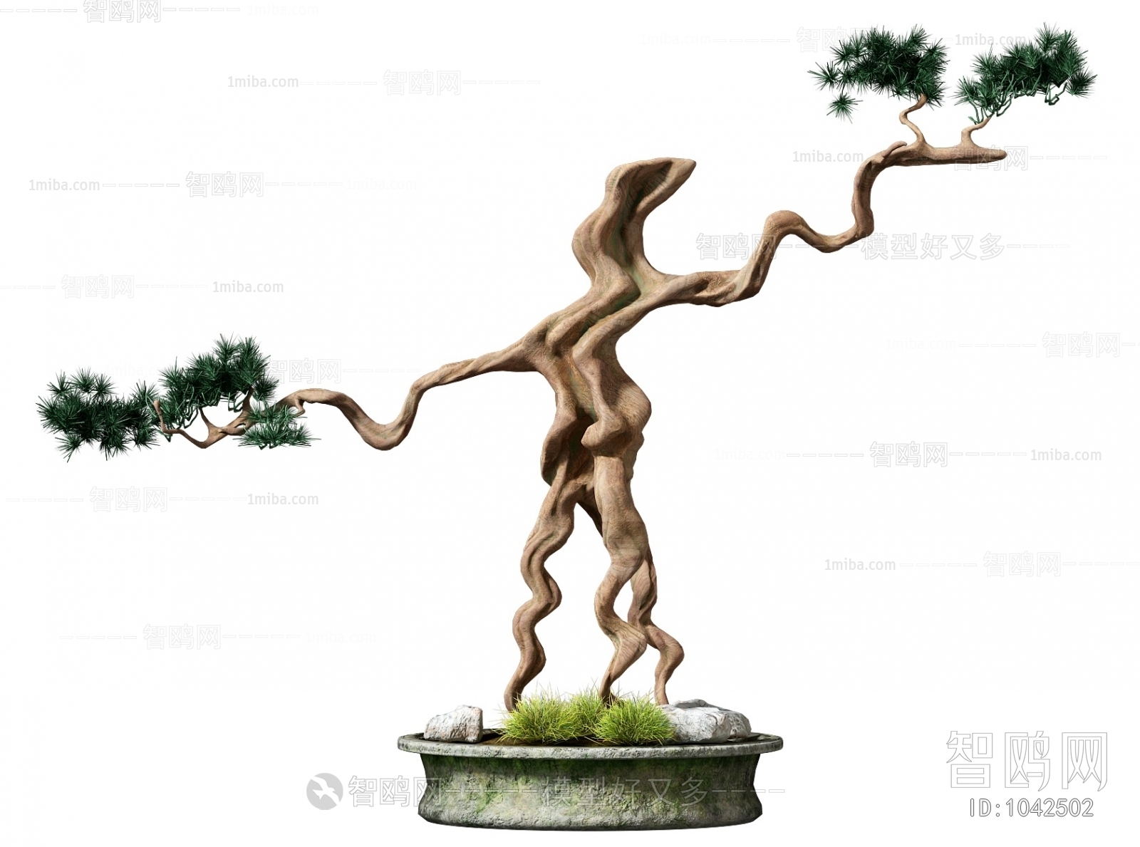 Chinese Style Bonsai