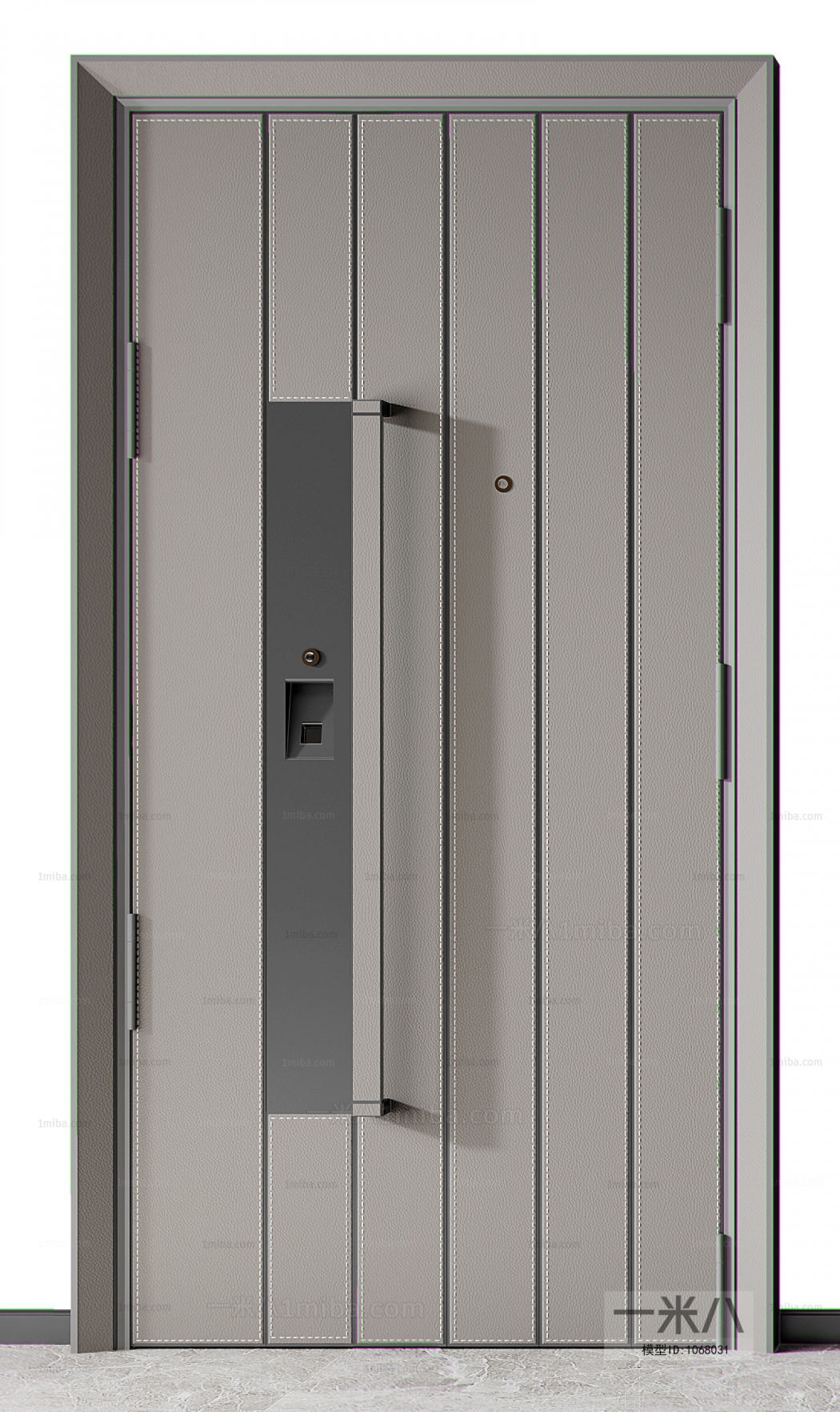 Modern Door