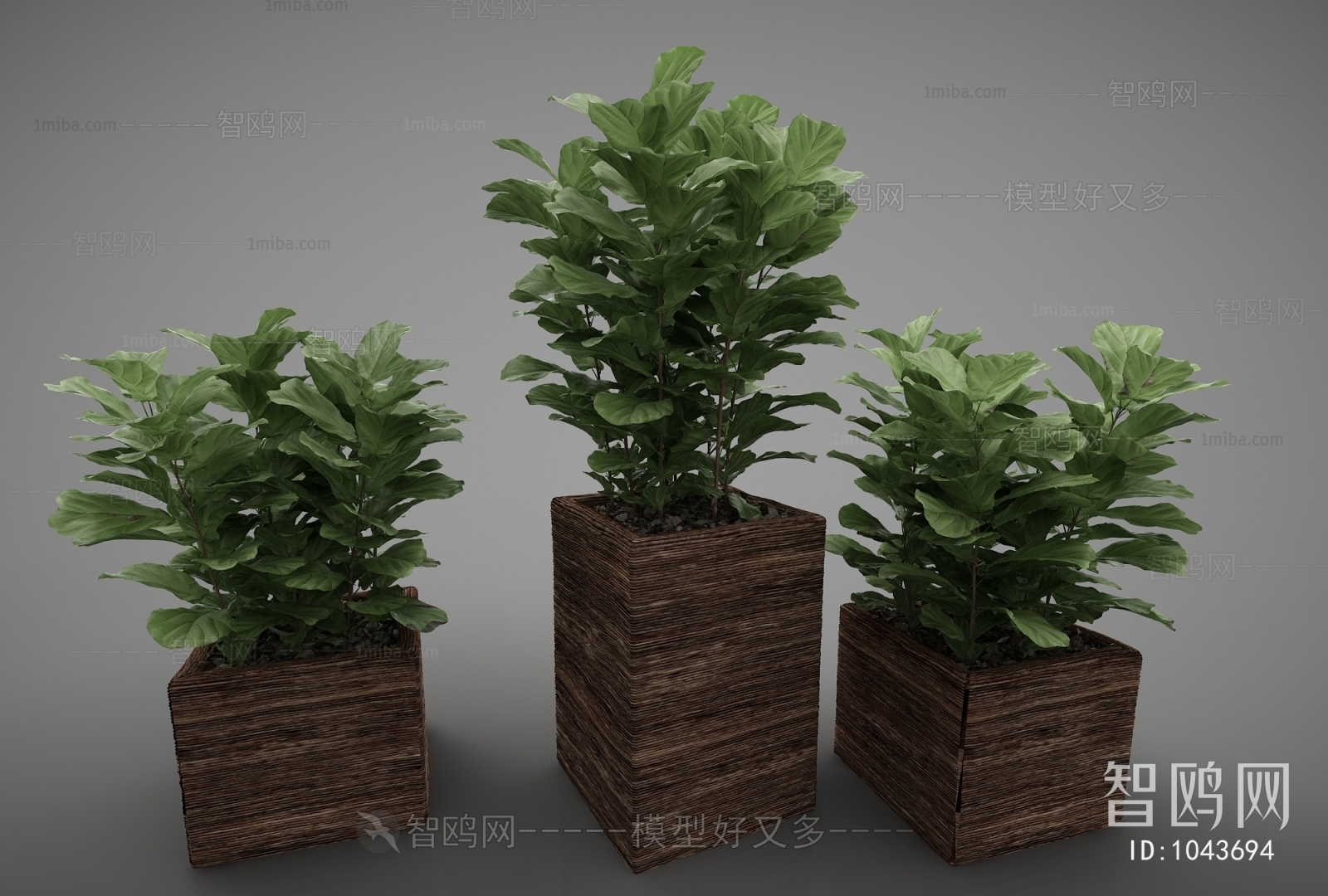 Modern Potted Green Plant