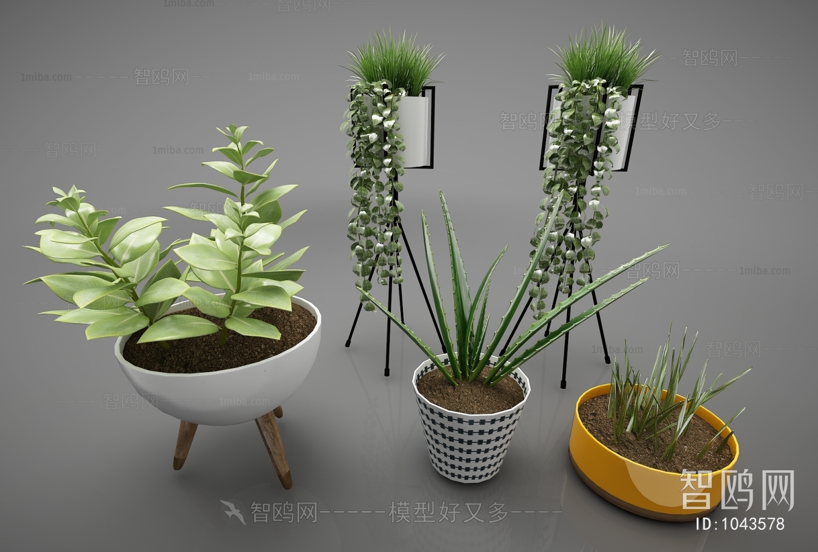 Modern Potted Green Plant