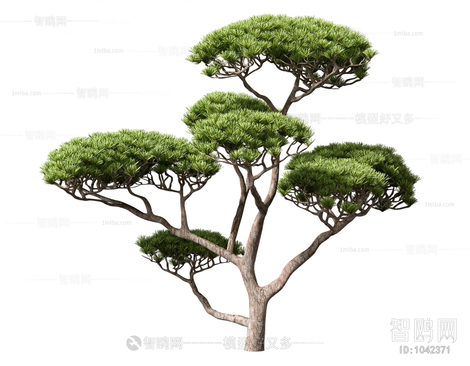 中式景观树