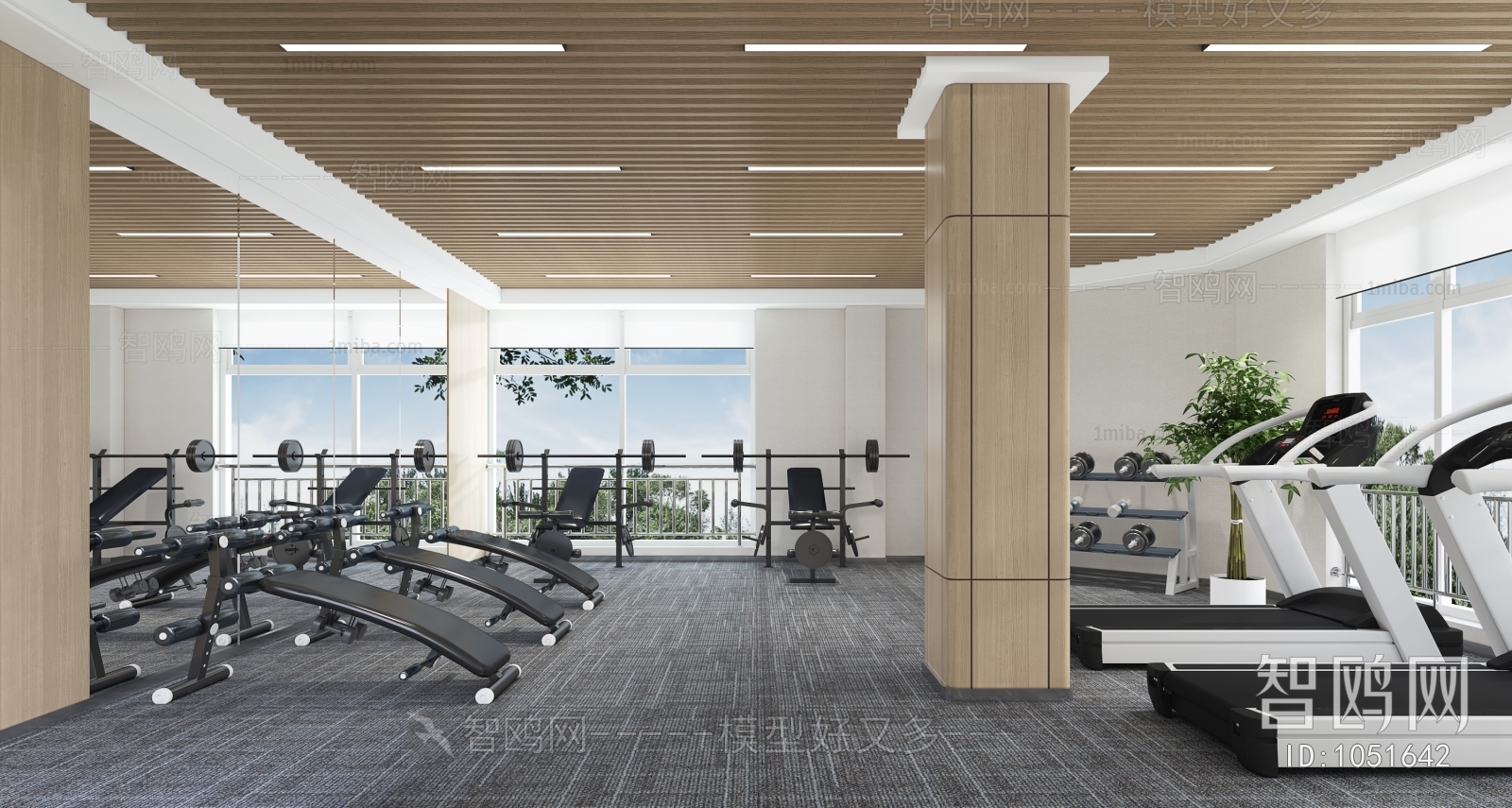 Modern Gym