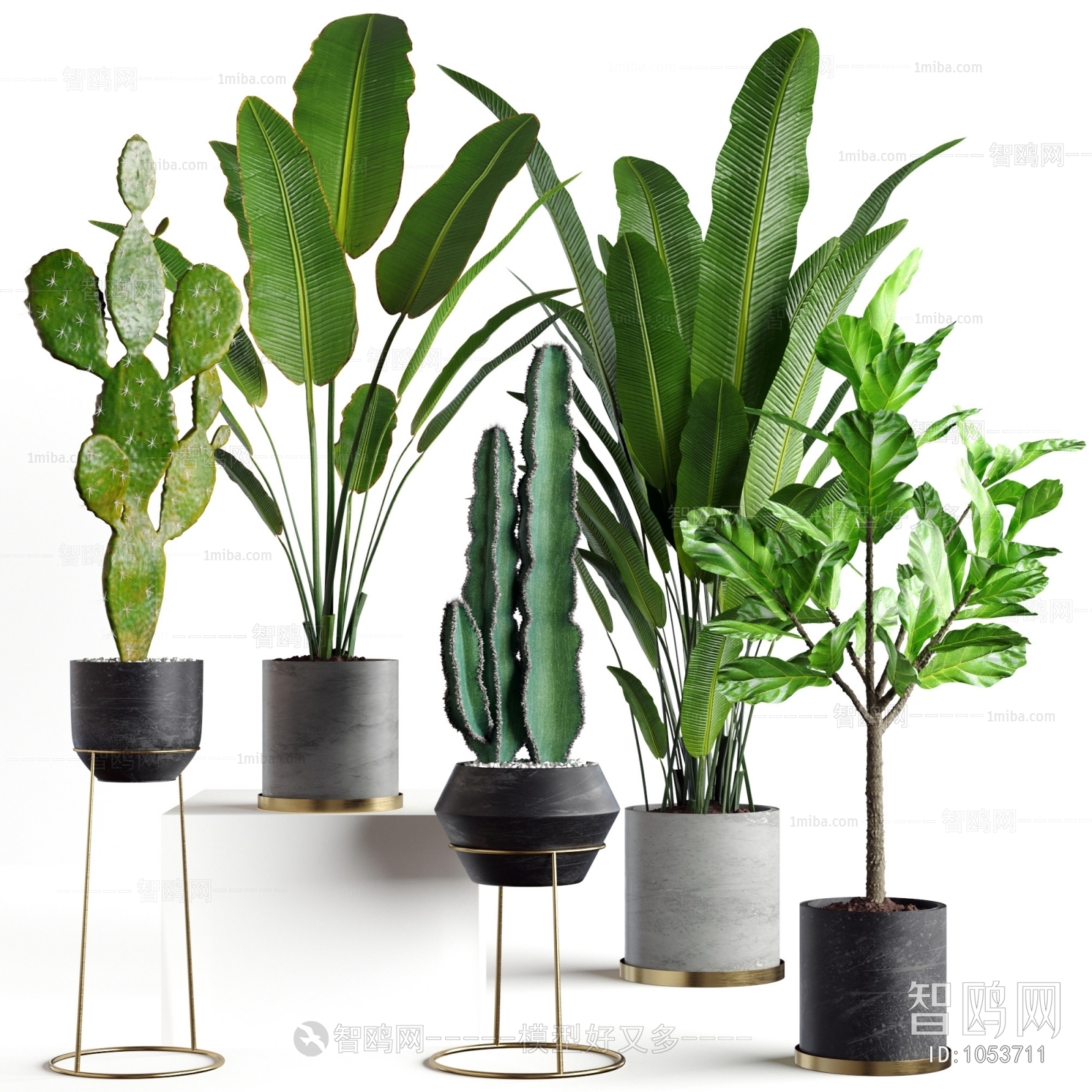 Modern Potted Green Plant