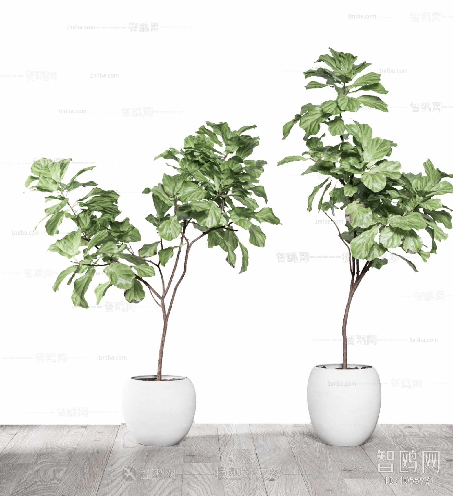 Modern Potted Green Plant