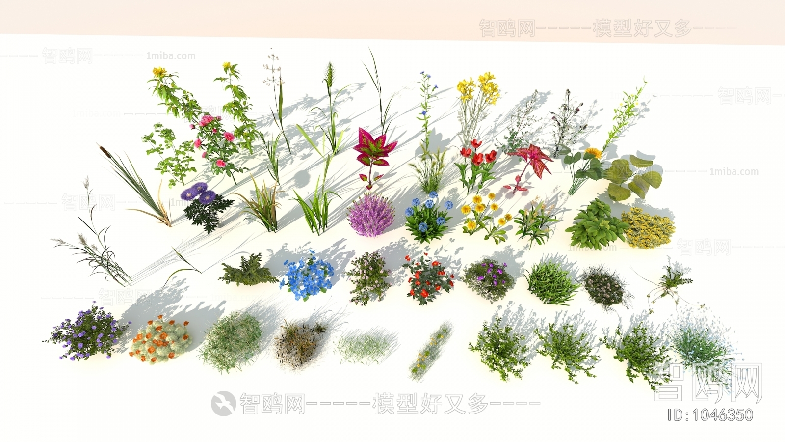 Modern Flowers And Grass