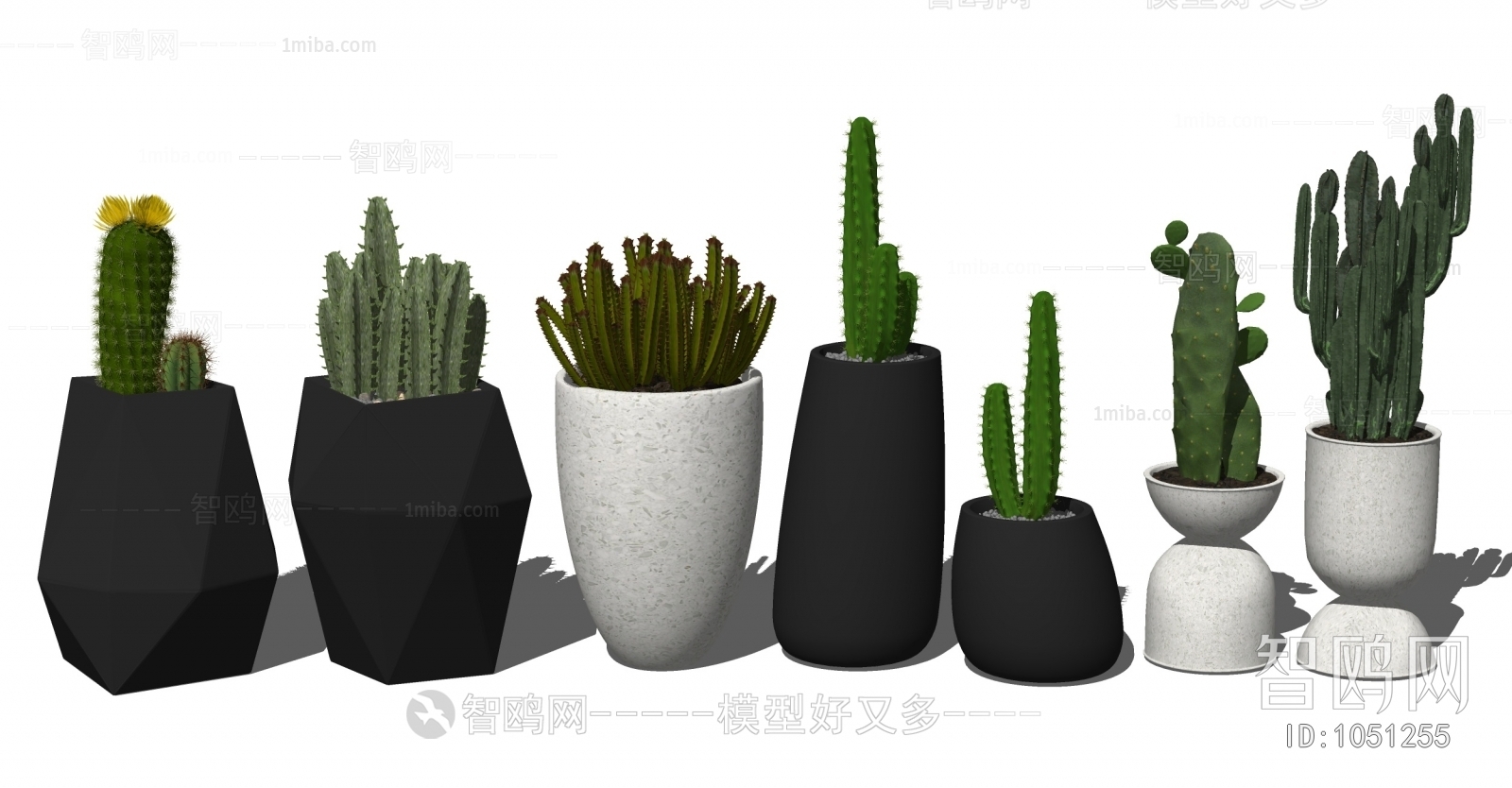 Modern Potted Green Plant