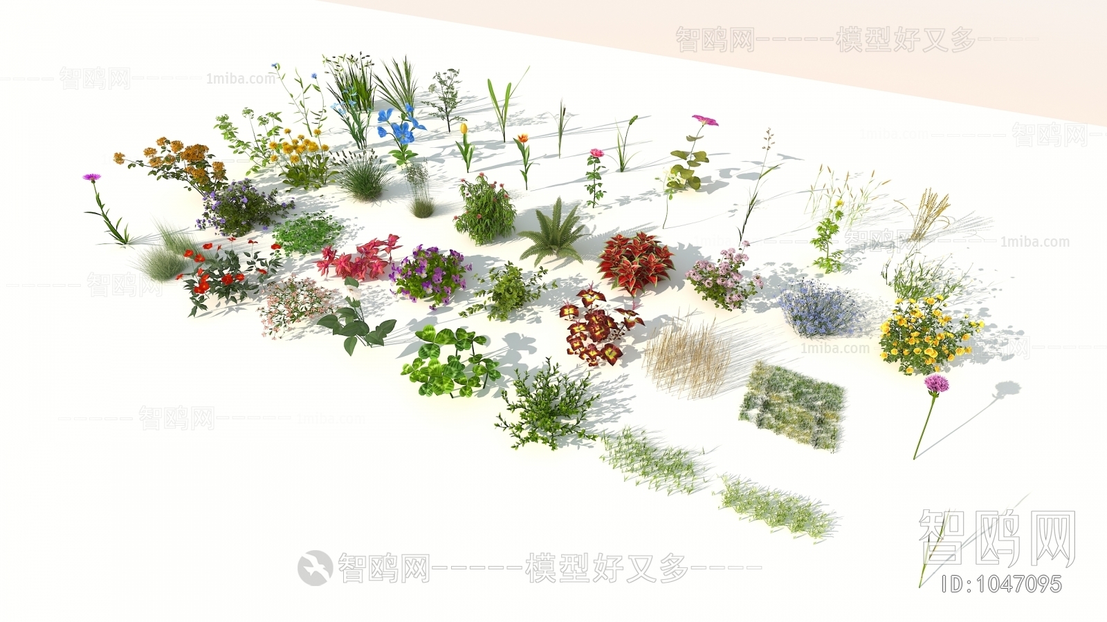 Modern Flowers And Grass