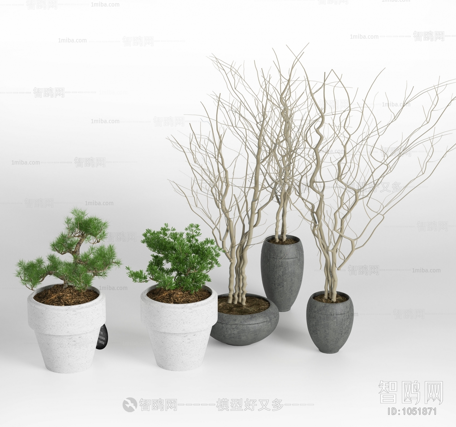 现代绿植盆栽