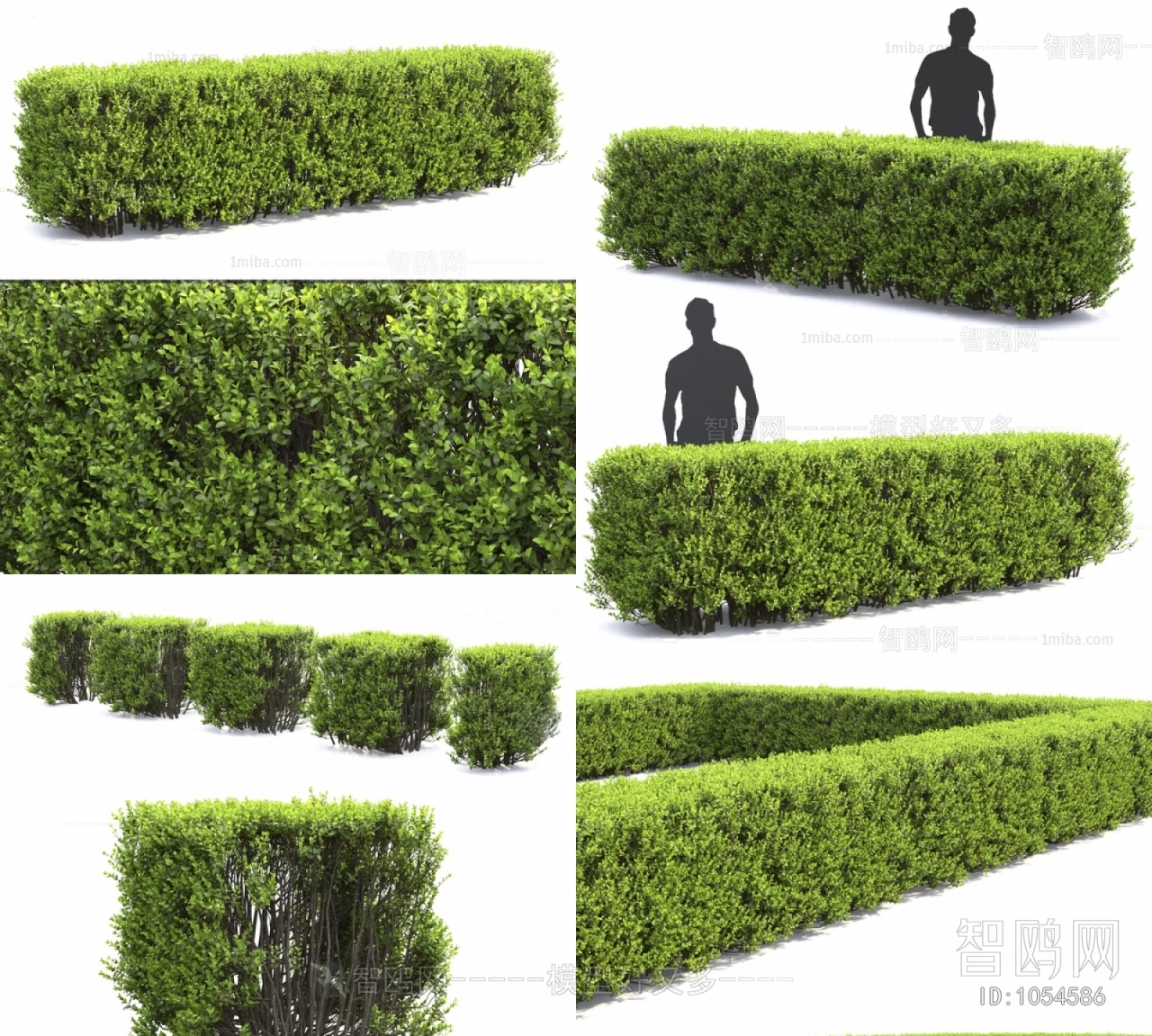 现代灌木绿植绿篱树篱3D模型下载