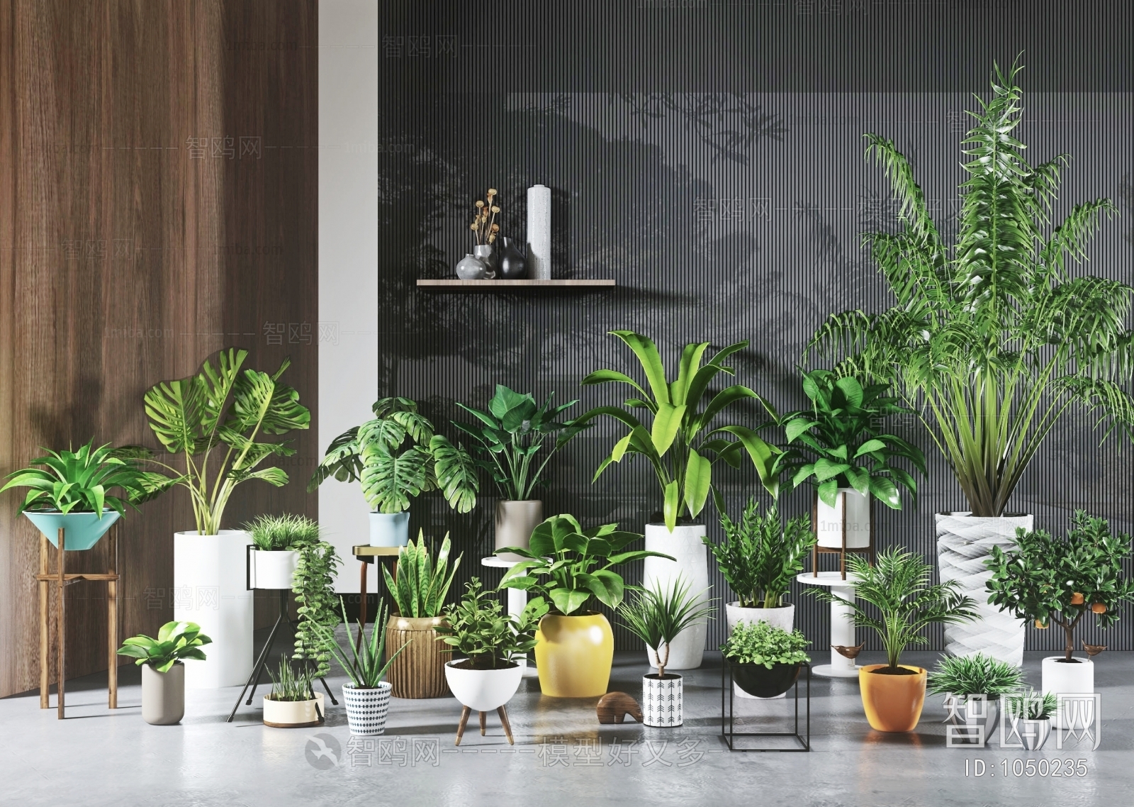 Modern Potted Green Plant