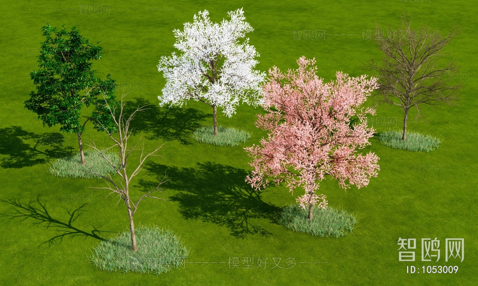 Modern Tree