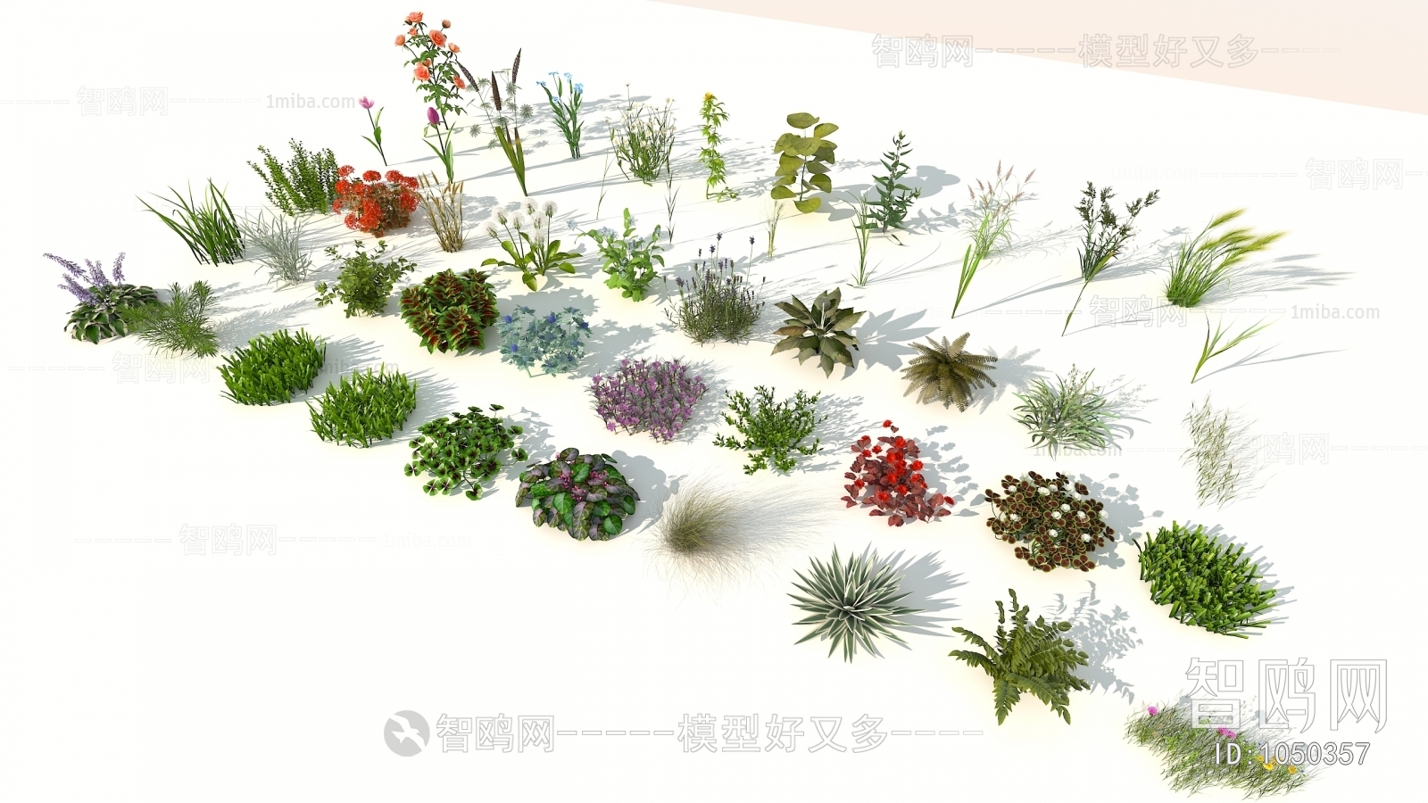 Modern Flowers And Grass