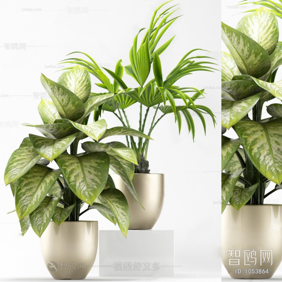 Modern Potted Green Plant