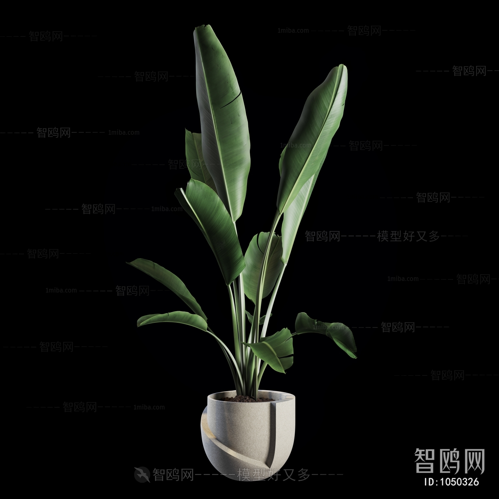 Modern Potted Green Plant