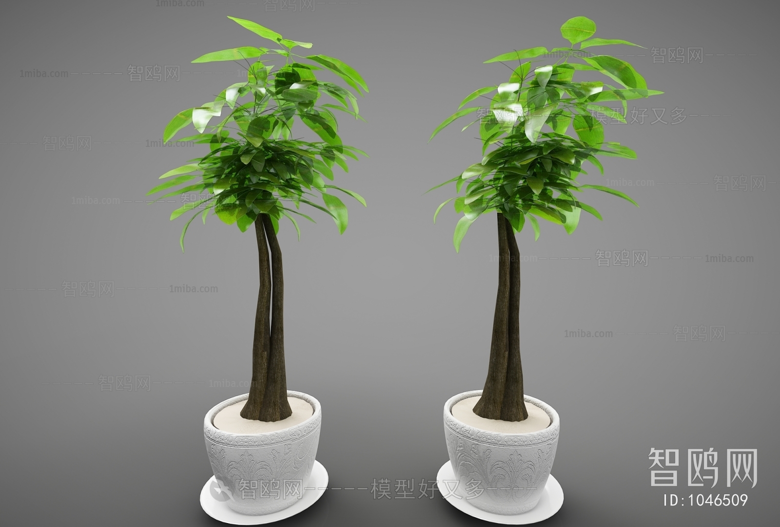 Modern Potted Green Plant