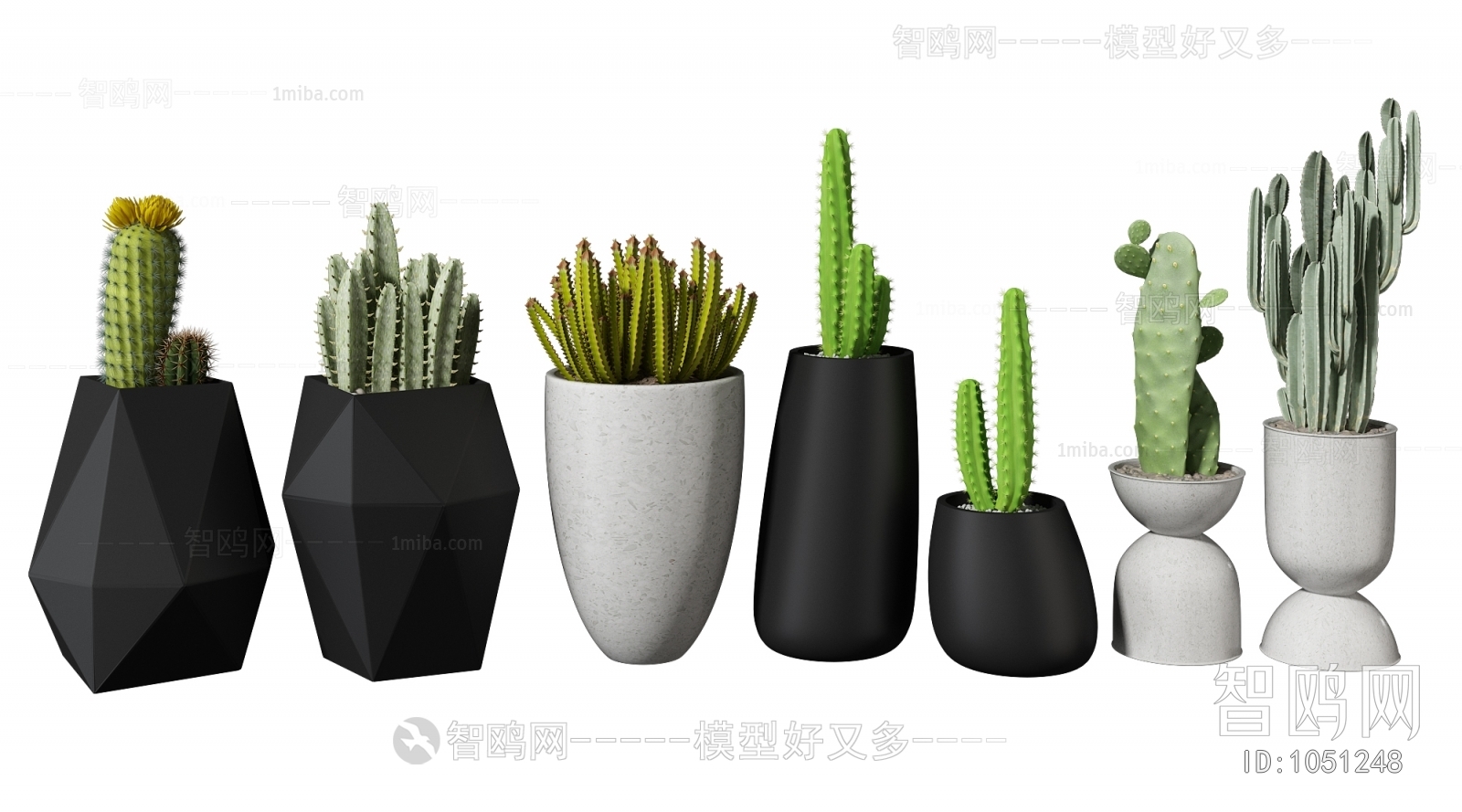 Modern Potted Green Plant