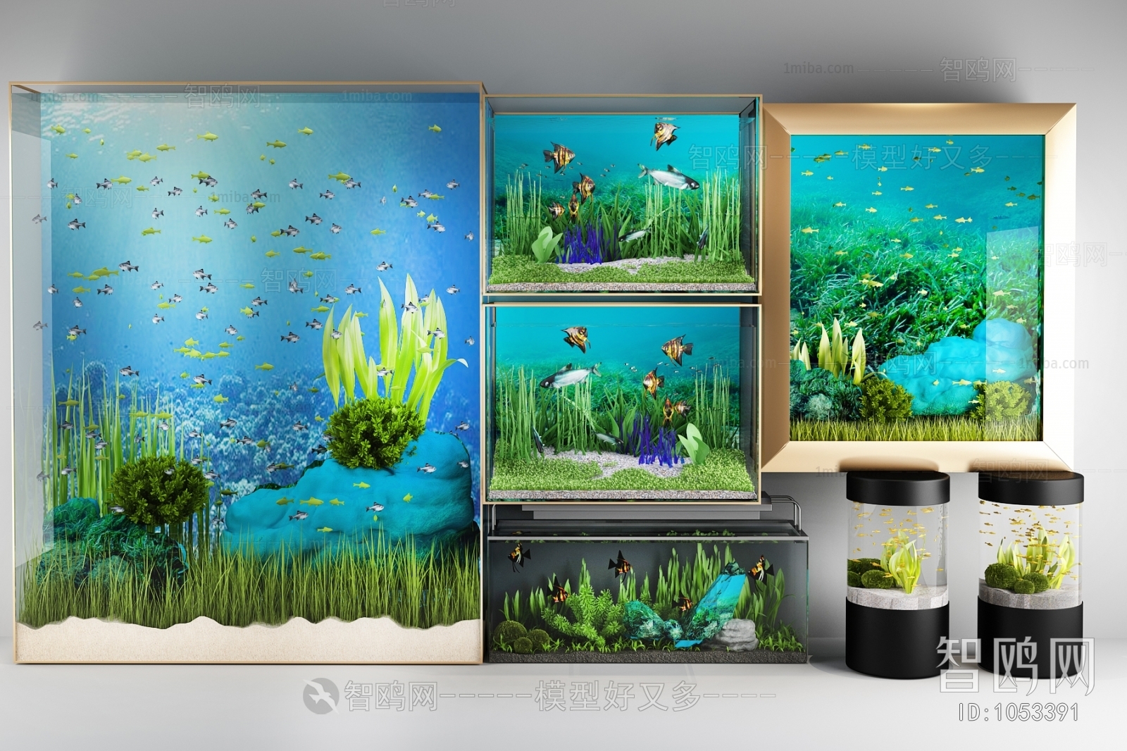 Modern Fish Tank