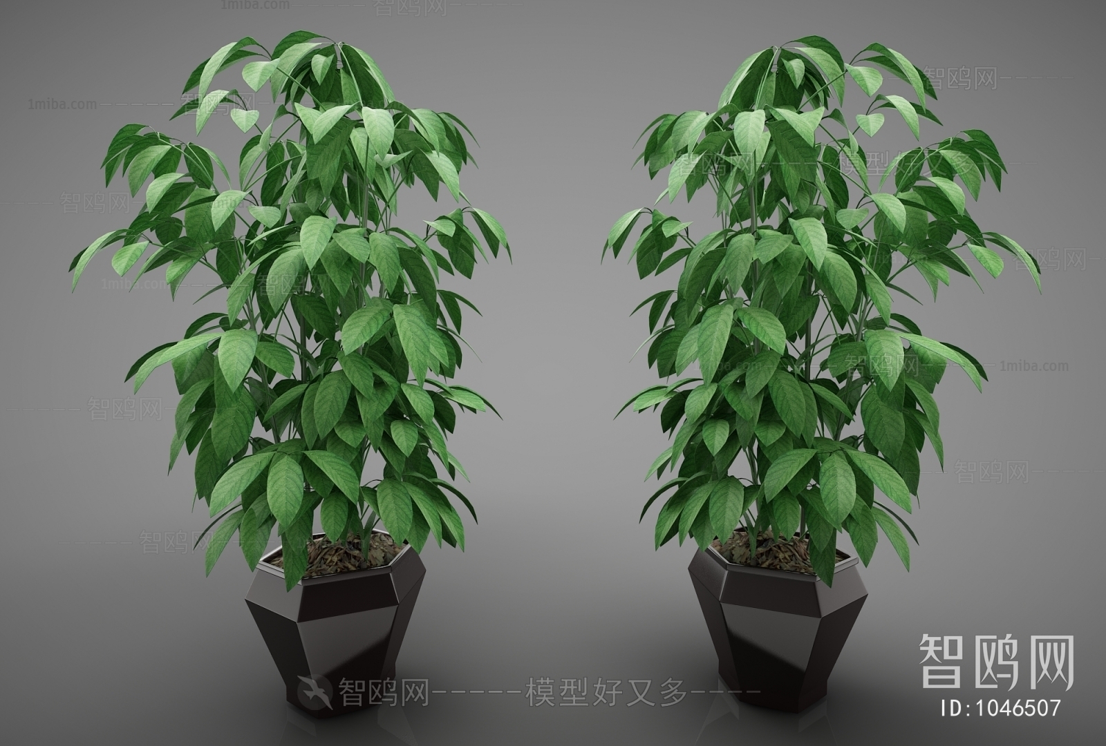 Modern Potted Green Plant