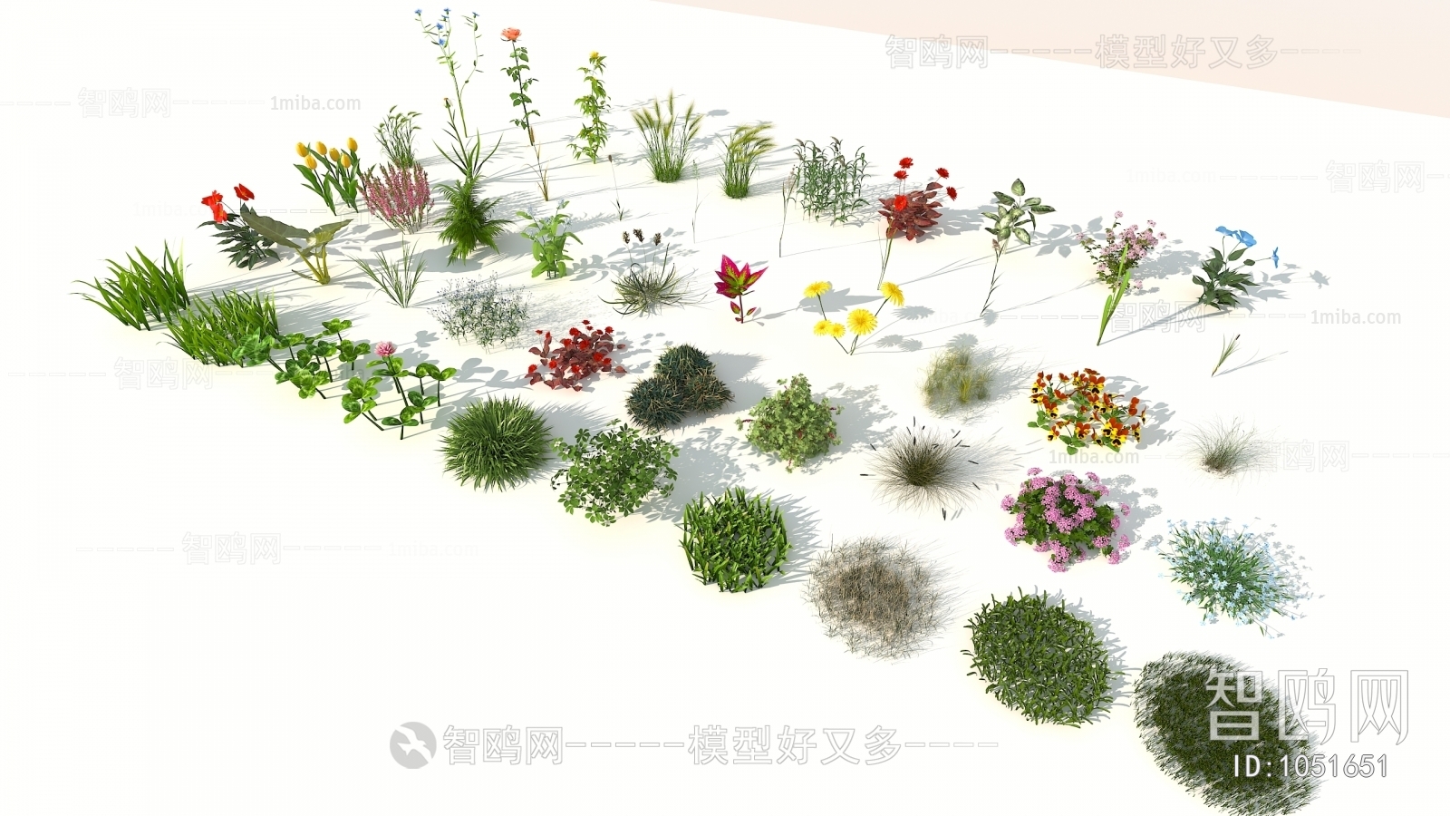 Modern Flowers And Grass