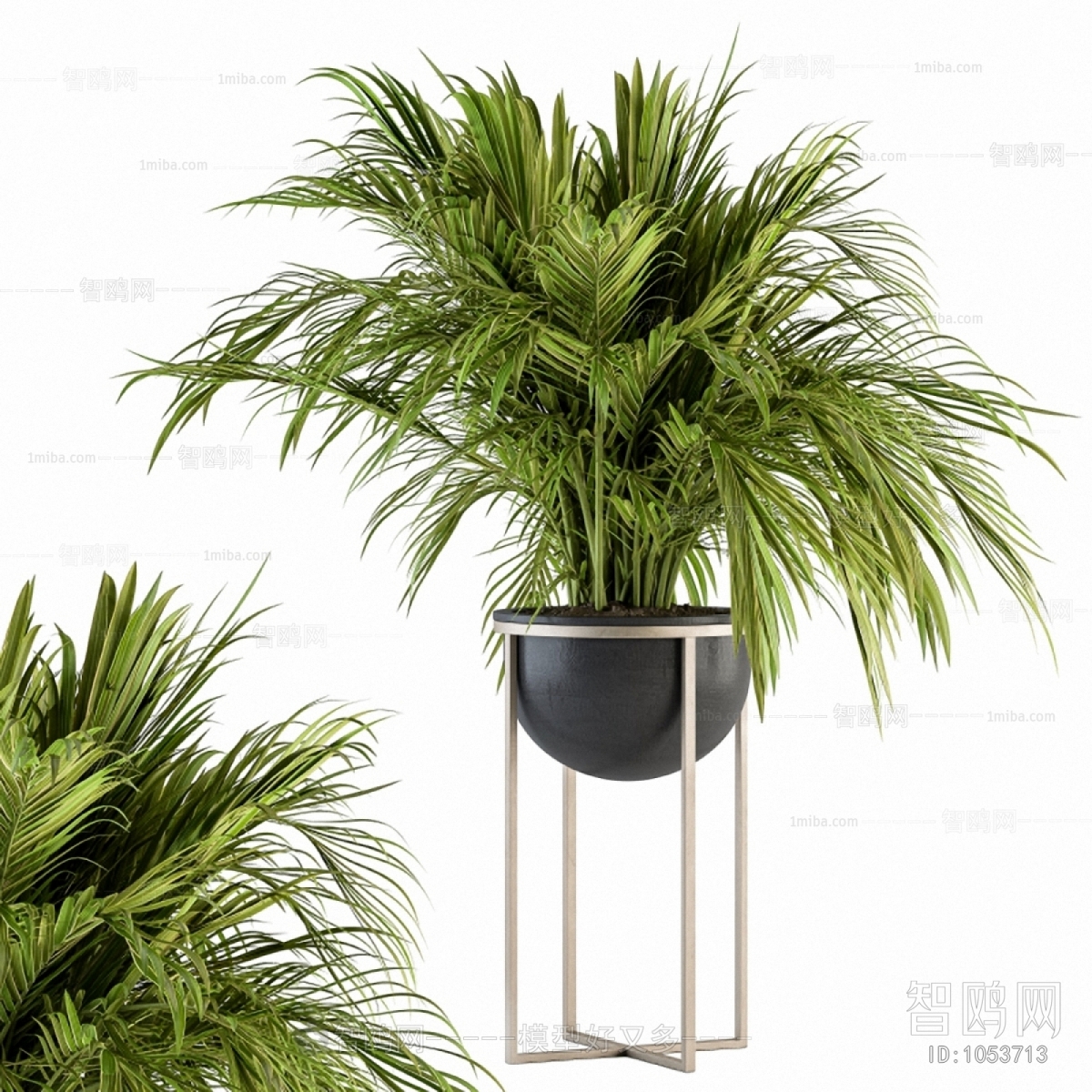 Modern Potted Green Plant